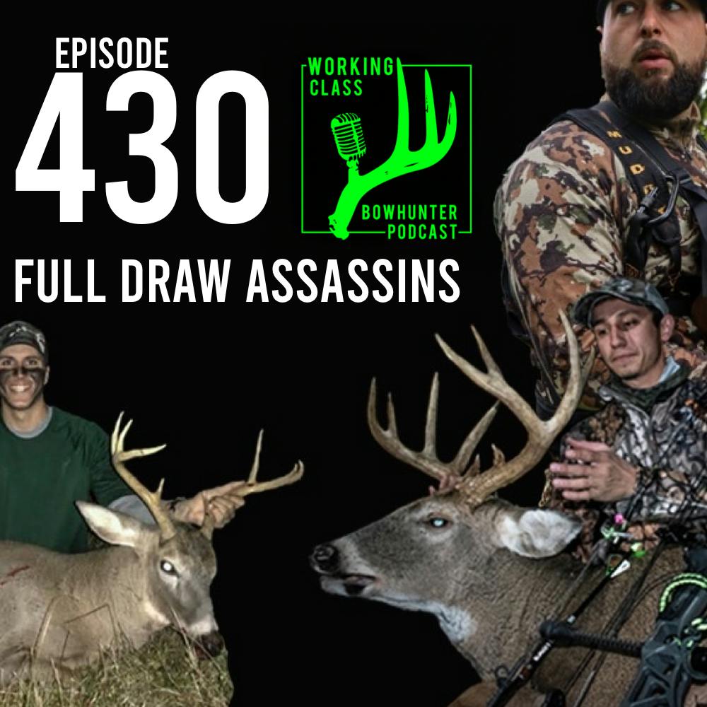 430 Full Draw Assassins