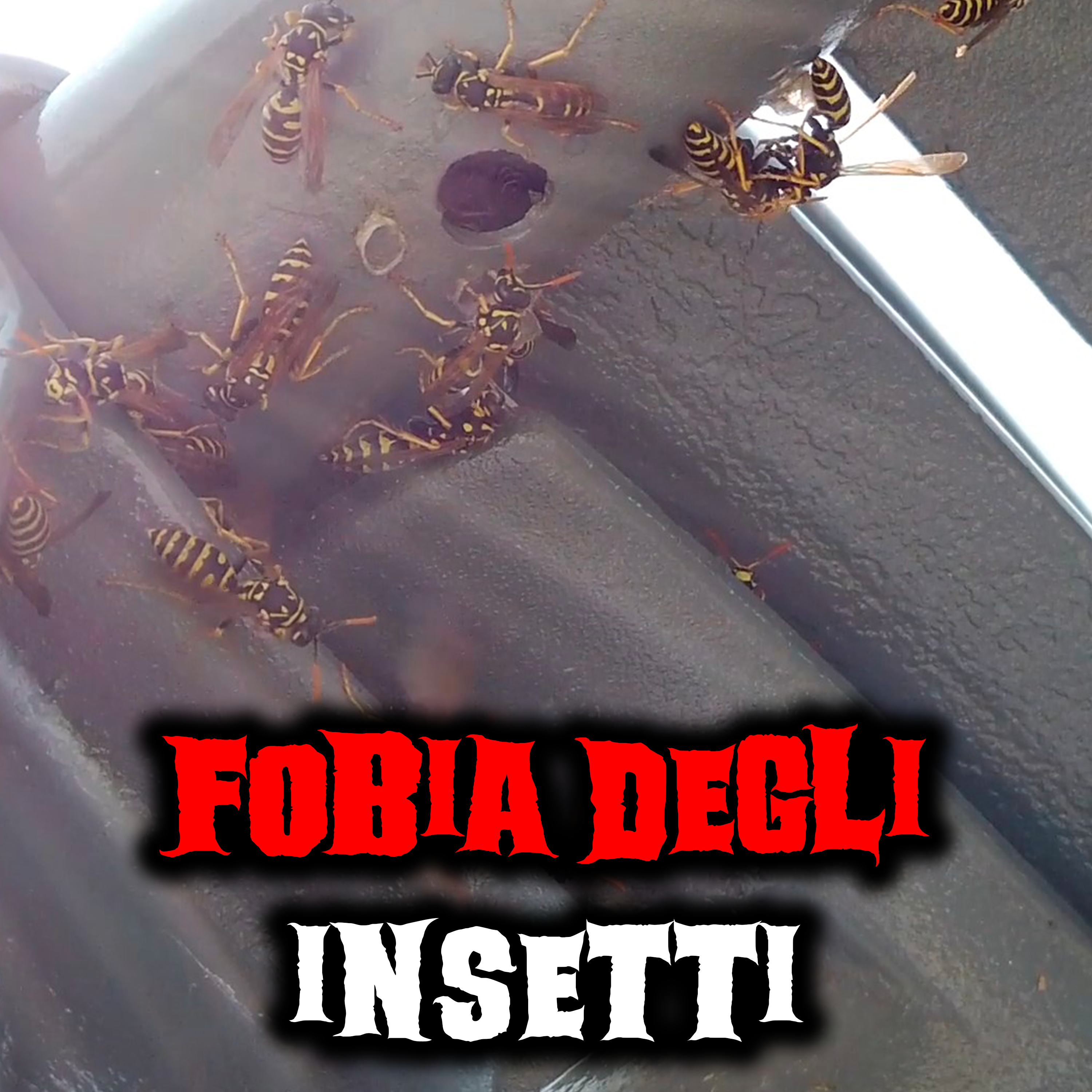 Fobia degli insetti - Racconti Horror episode artwork