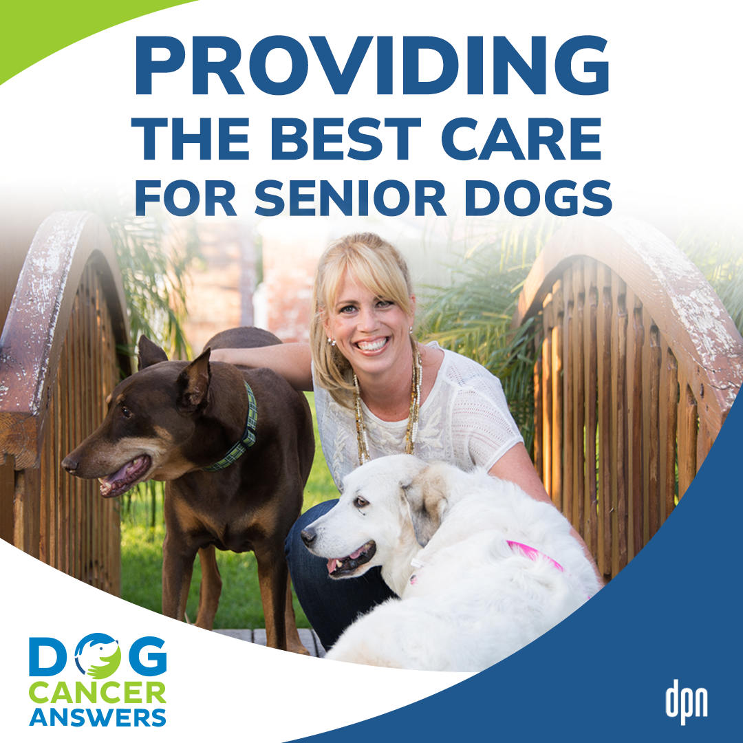 Providing the Best Care for Senior Dogs | Dr. Mary Gardner #179
