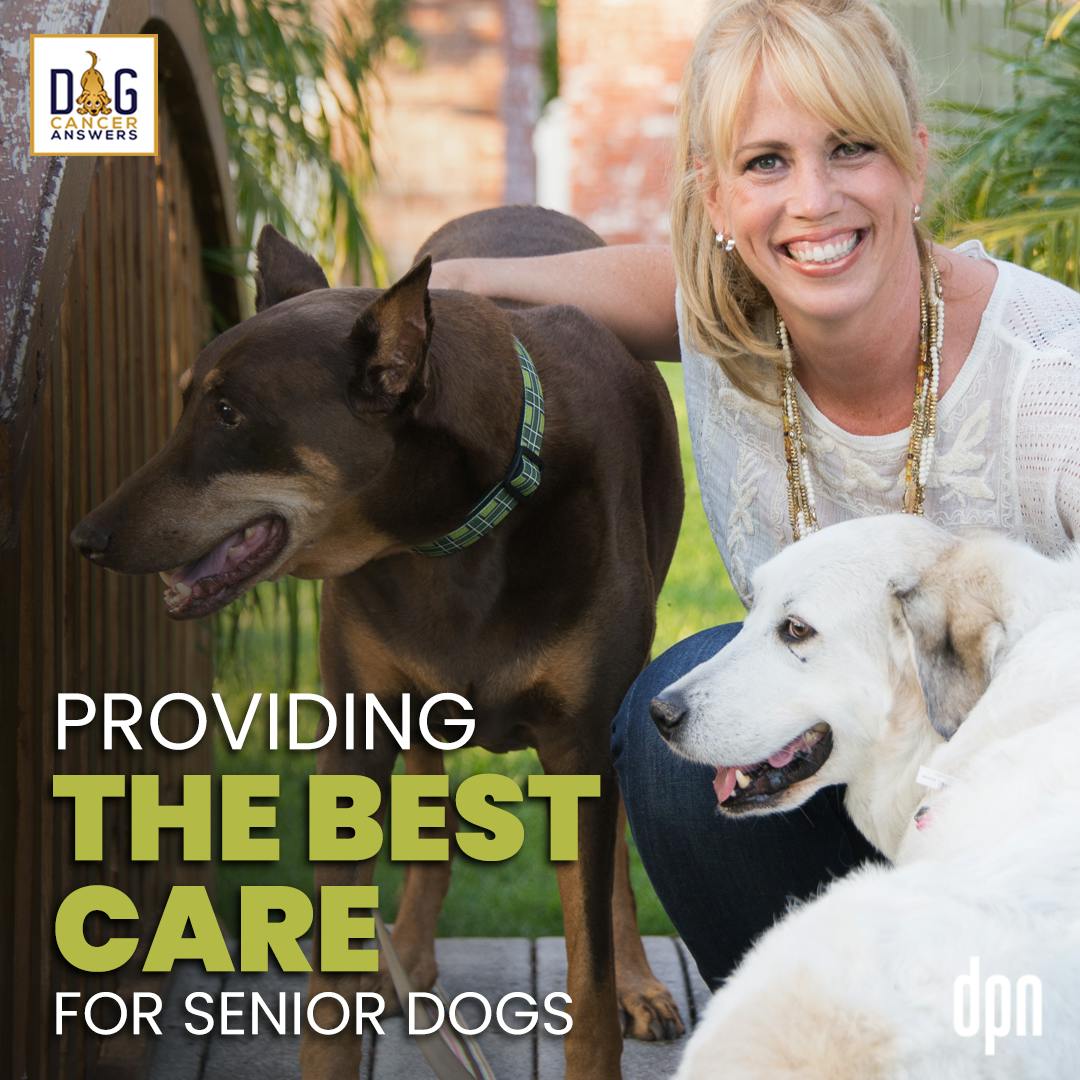 Providing the Best Care for Senior Dogs | Dr. Mary Gardner #179