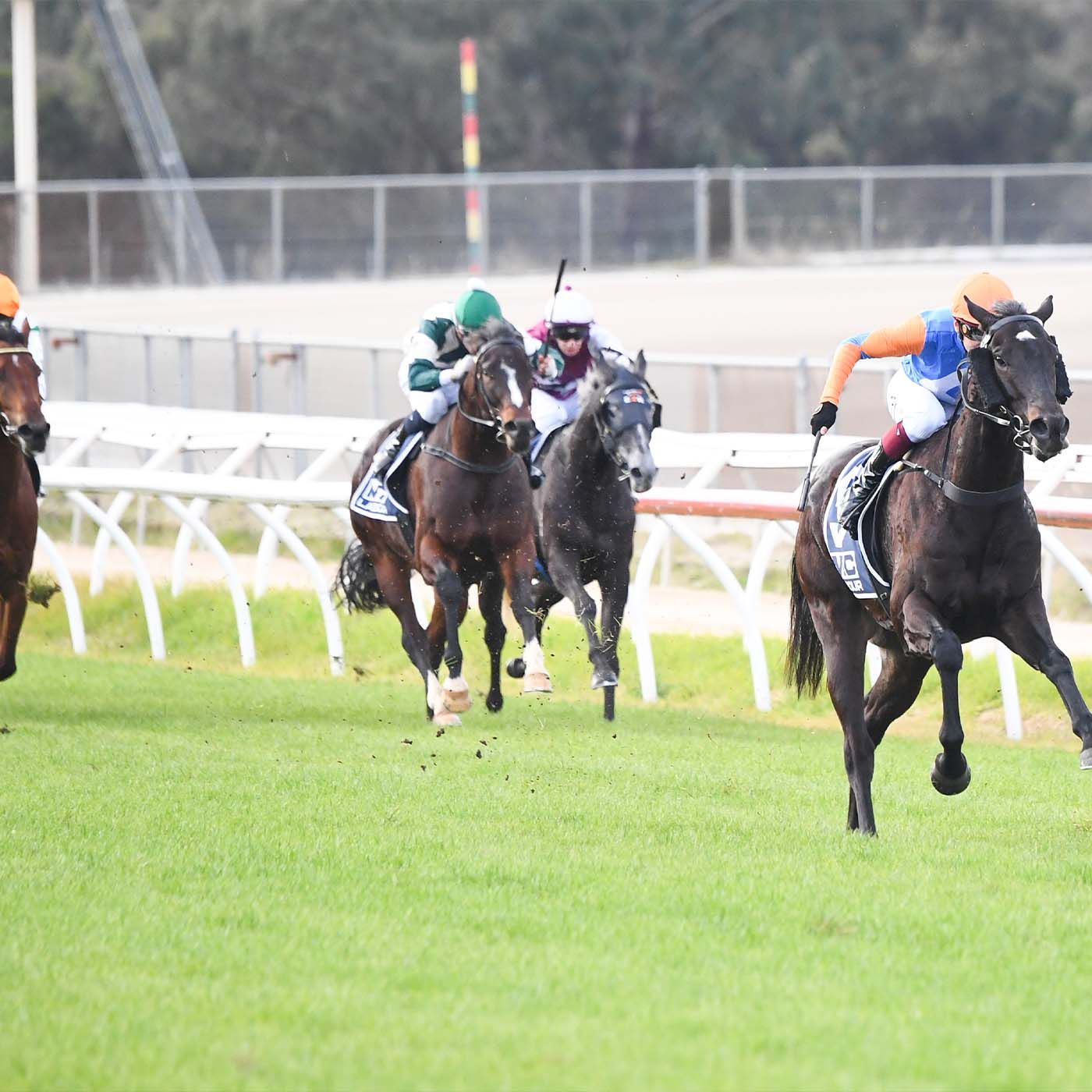 Kilmore RC Ben Murphy chats to Andrew Kuuse re Sundays Kilmore Cup meeting episode artwork