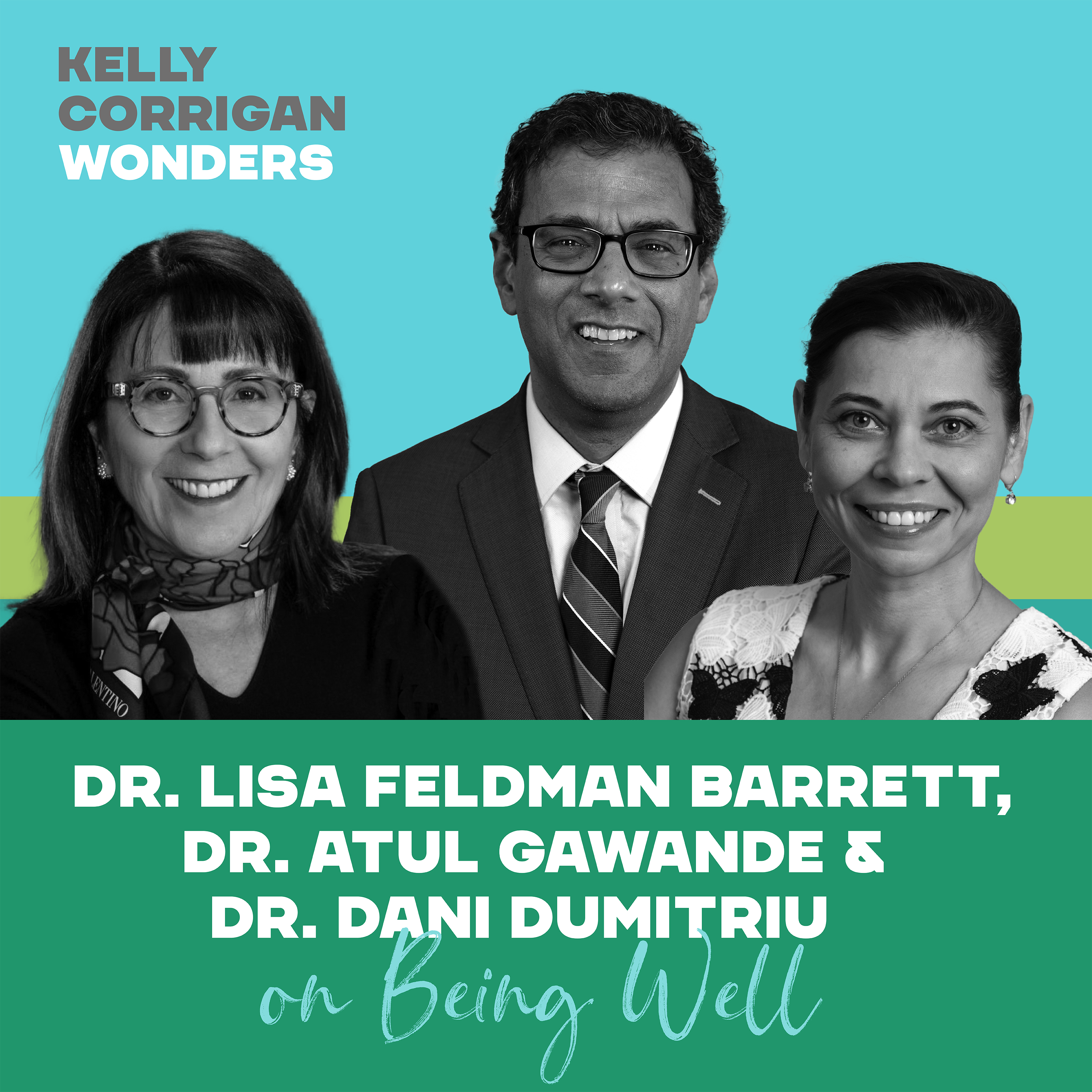 Thumbnail for "Going Deep with Three Brilliant Doctors on Well Being".