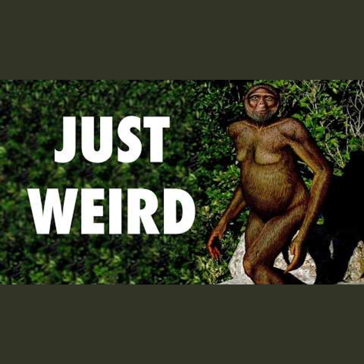 The Strangest Human Ancestor You've Never Heard Of episode artwork