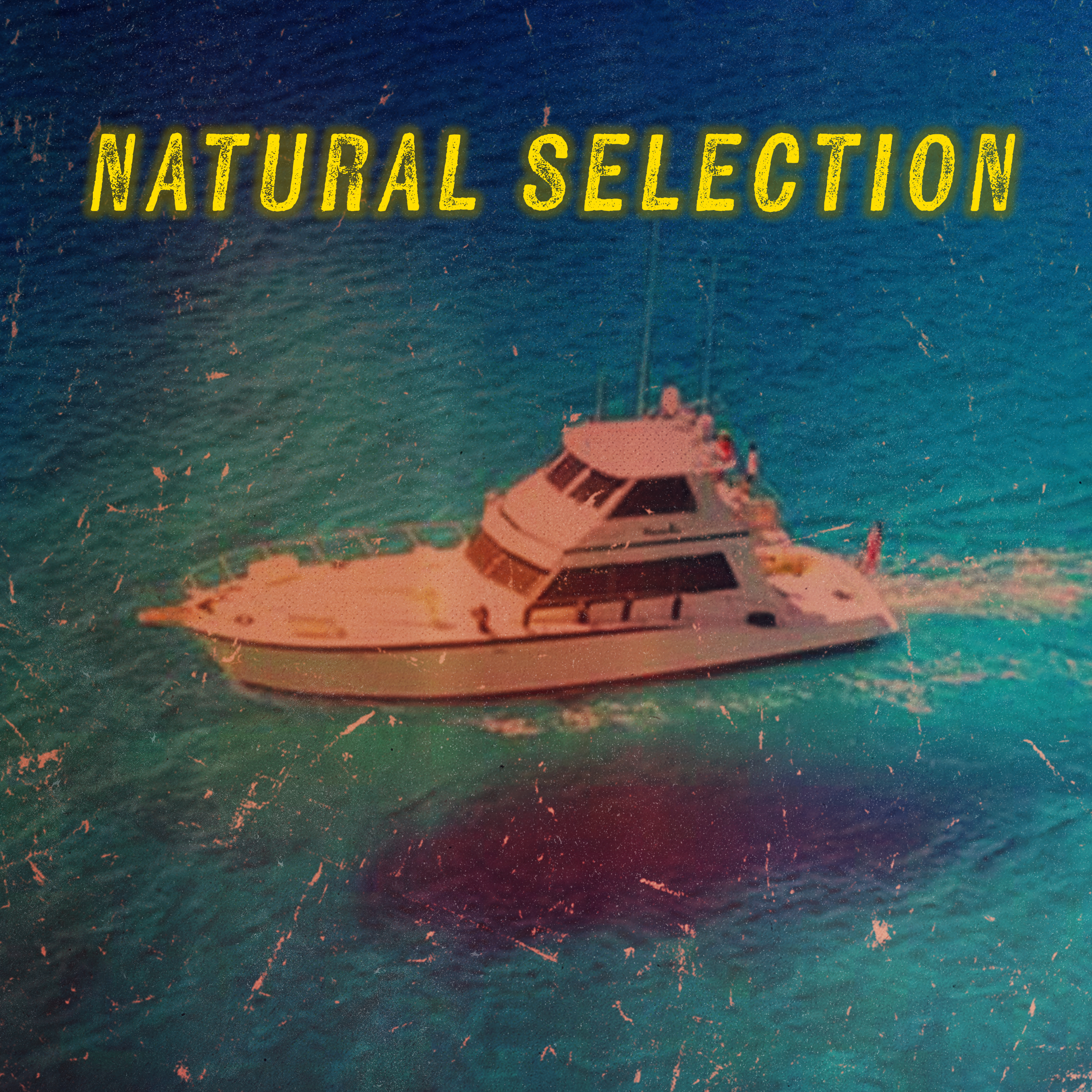 Natural Selection: Scott v. Wild Bill