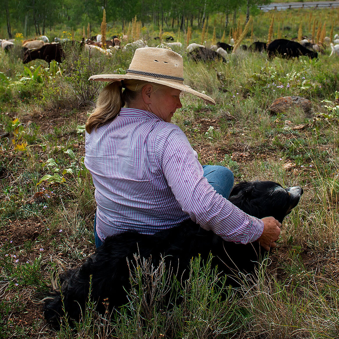 Jaguars, Goats and Acequias: Cultivating the Landscape of a Wild Earth | Lani Malmberg, Miguel Santistevan & Peter Warshall