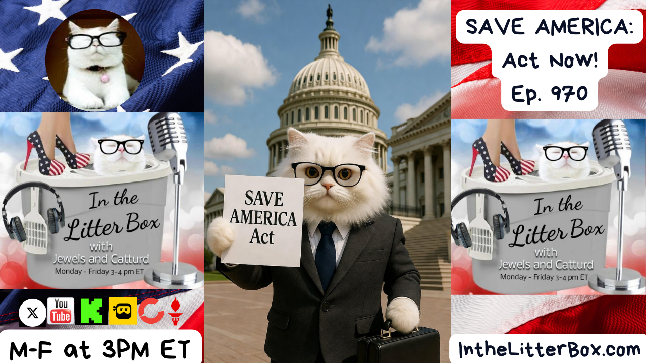 SAVE AMERICA: Act Fast! | In the Litter Box w/ Jewels Jones & Catturd – Ep. 970 – 2/12/2026