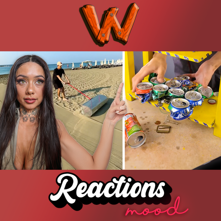 This Trash Turned into a Chic Garbage Bin! REACTS episode artwork