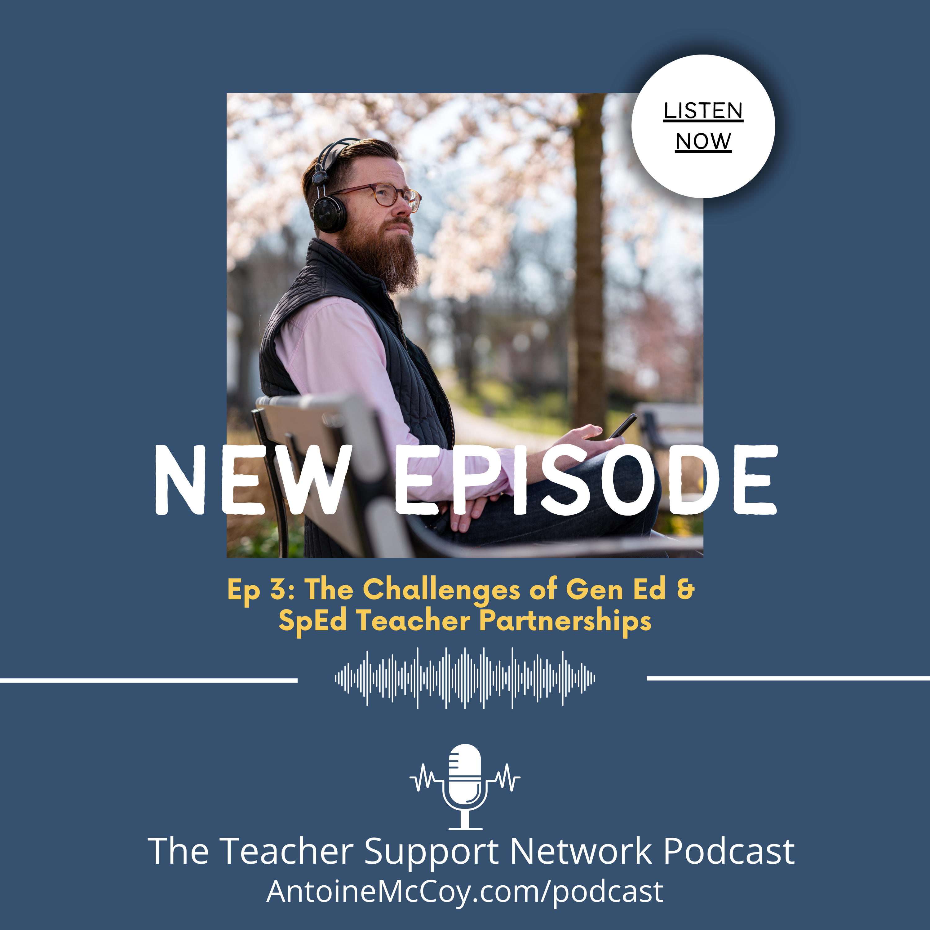 The Teacher Support Network