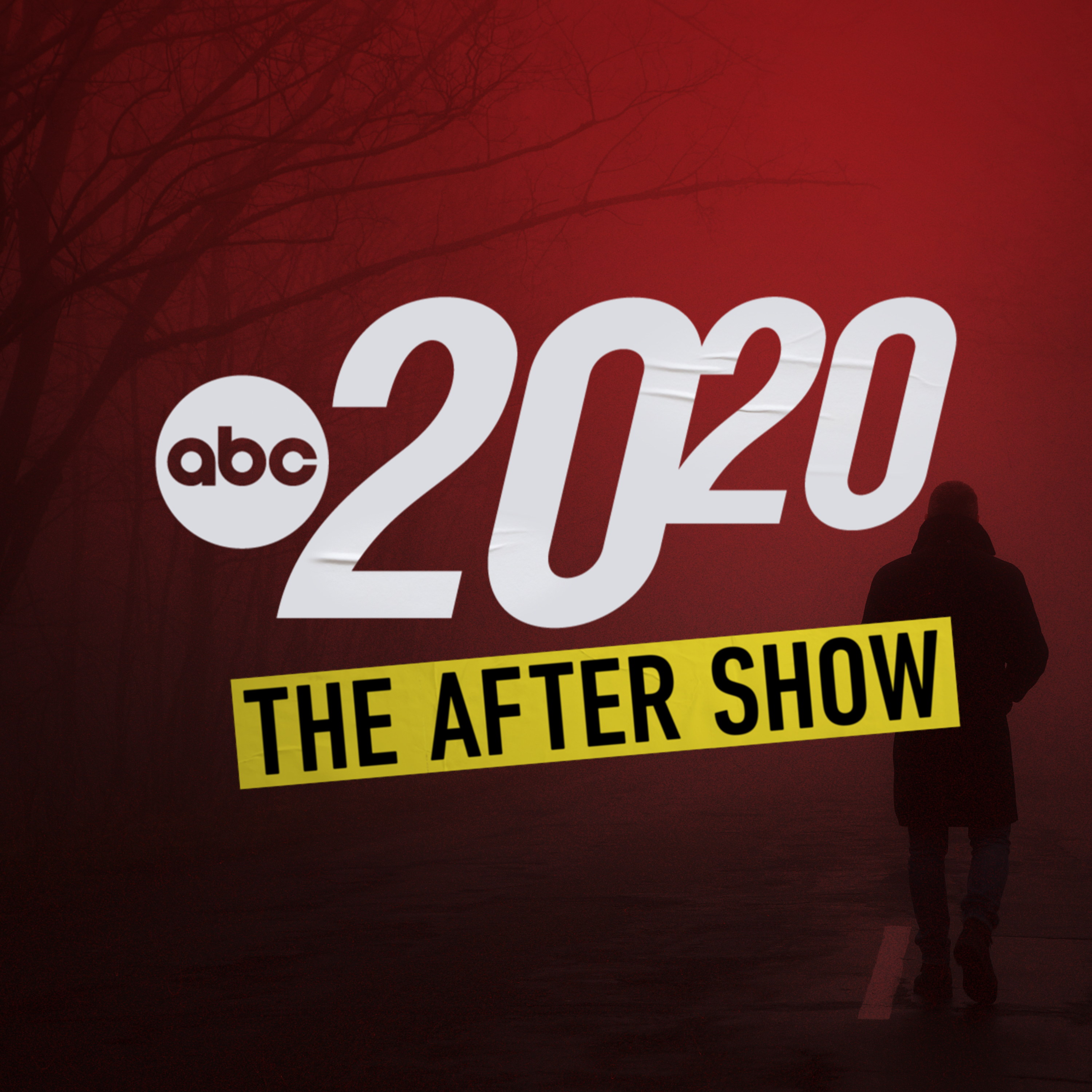 The After Show : Inside the Courtroom with Brian Buckmire