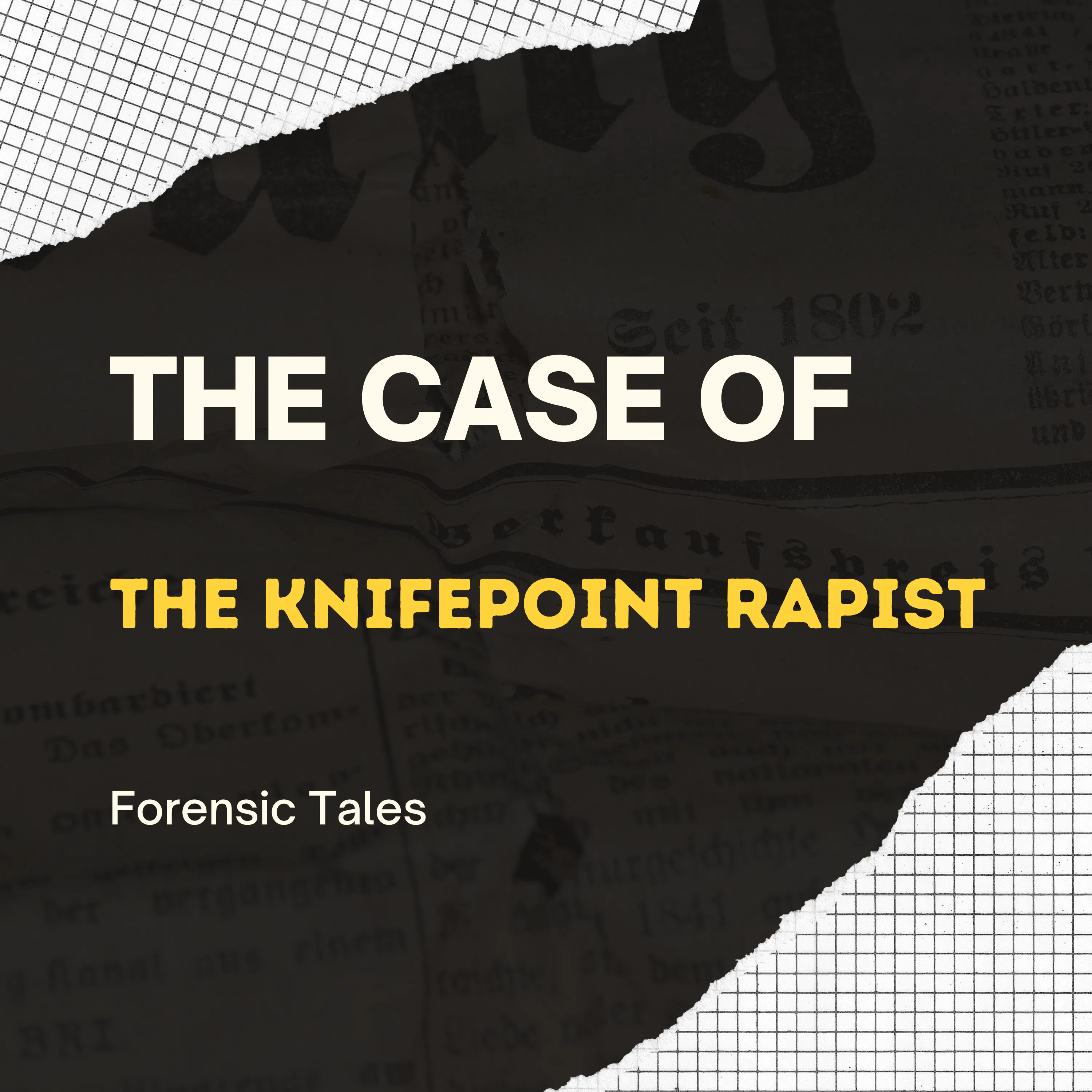 The Knifepoint Rapist episode artwork