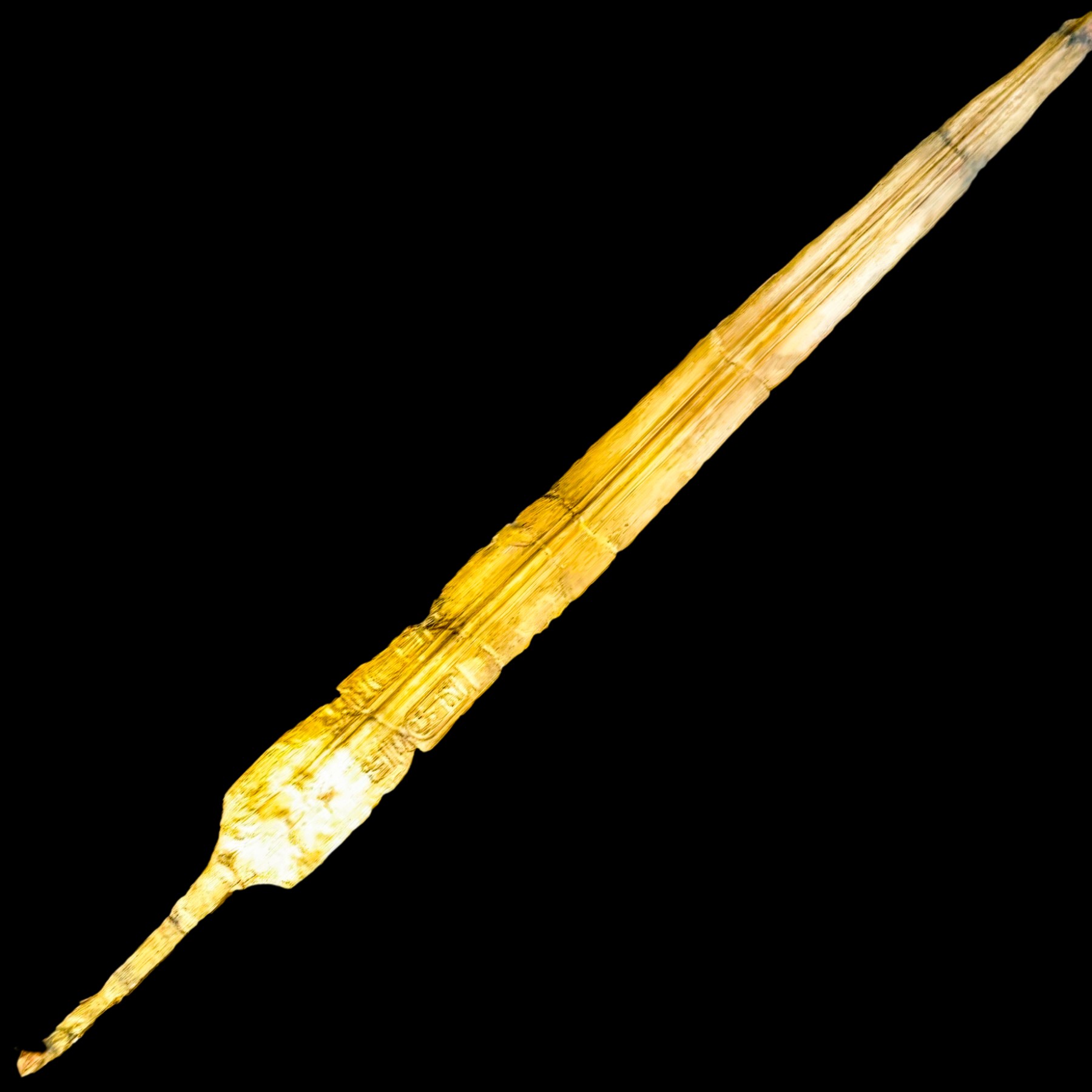 The Sword of Ramesses (News from the Field)