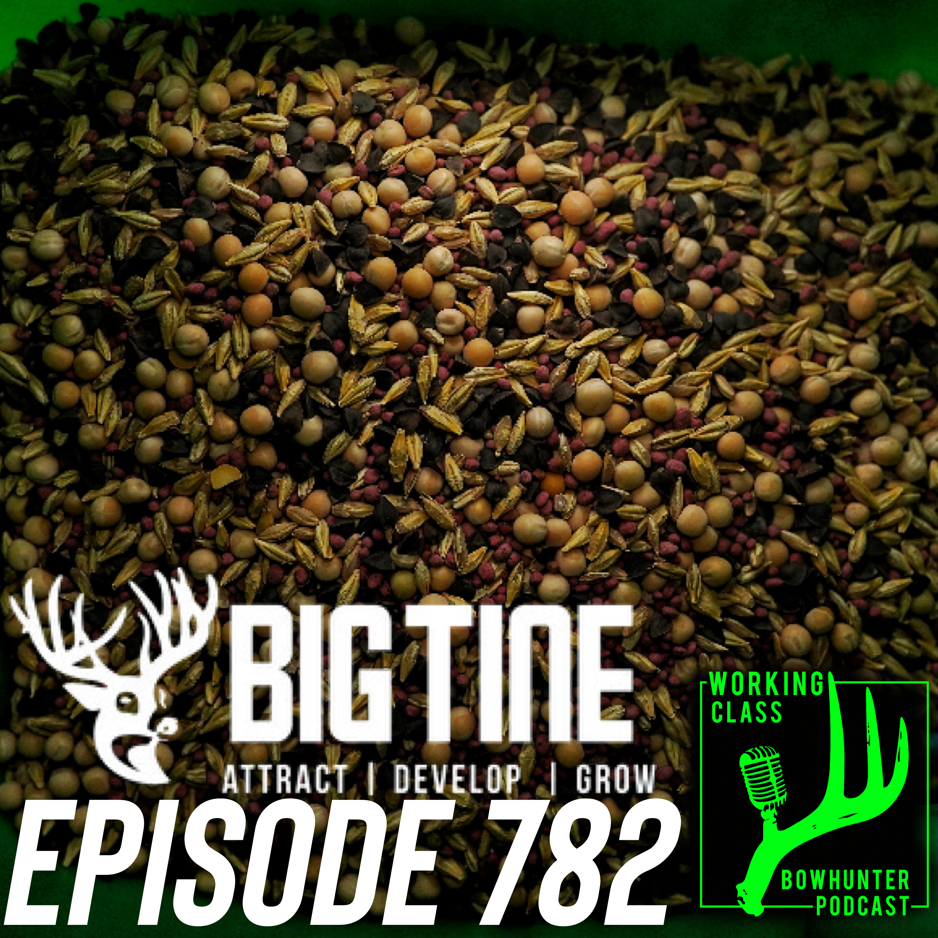 782 BIG TINE episode artwork