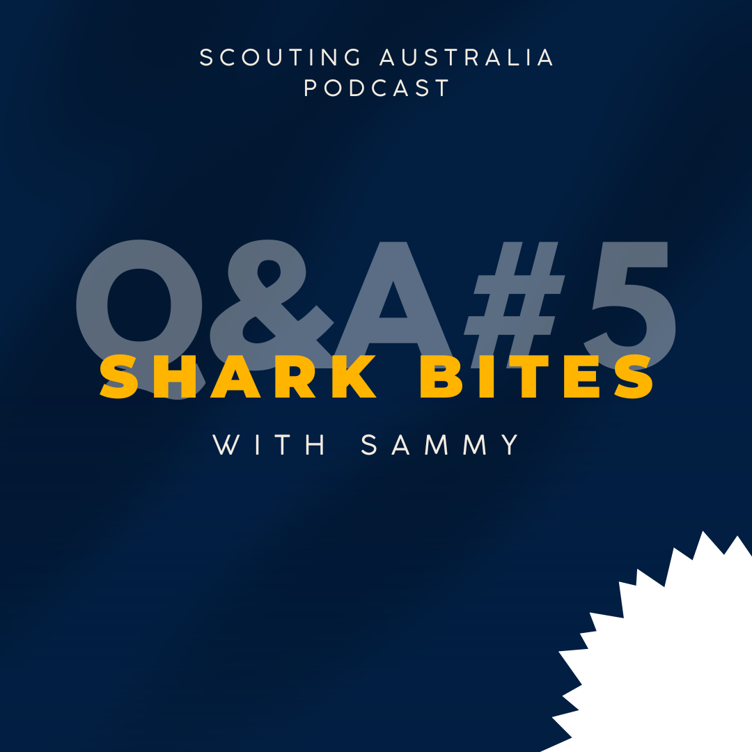 Shark Bites Q&A#5 - Rates, Property Valuations & Court Costs episode artwork