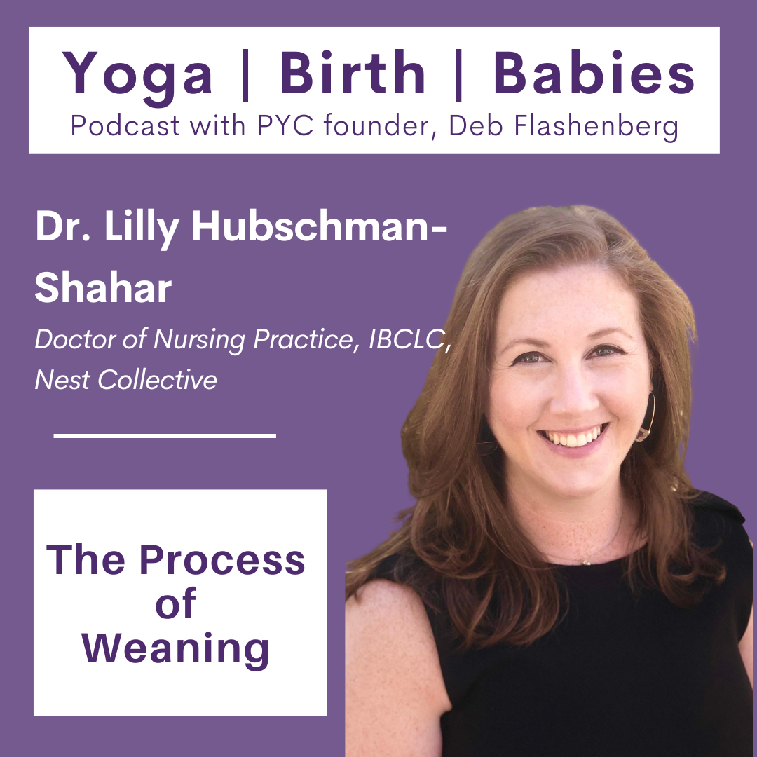 The Process of Weaning with Dr. Lilly Hubschman-Shahar DNP, RN, NNP-BC, IBCLC episode artwork