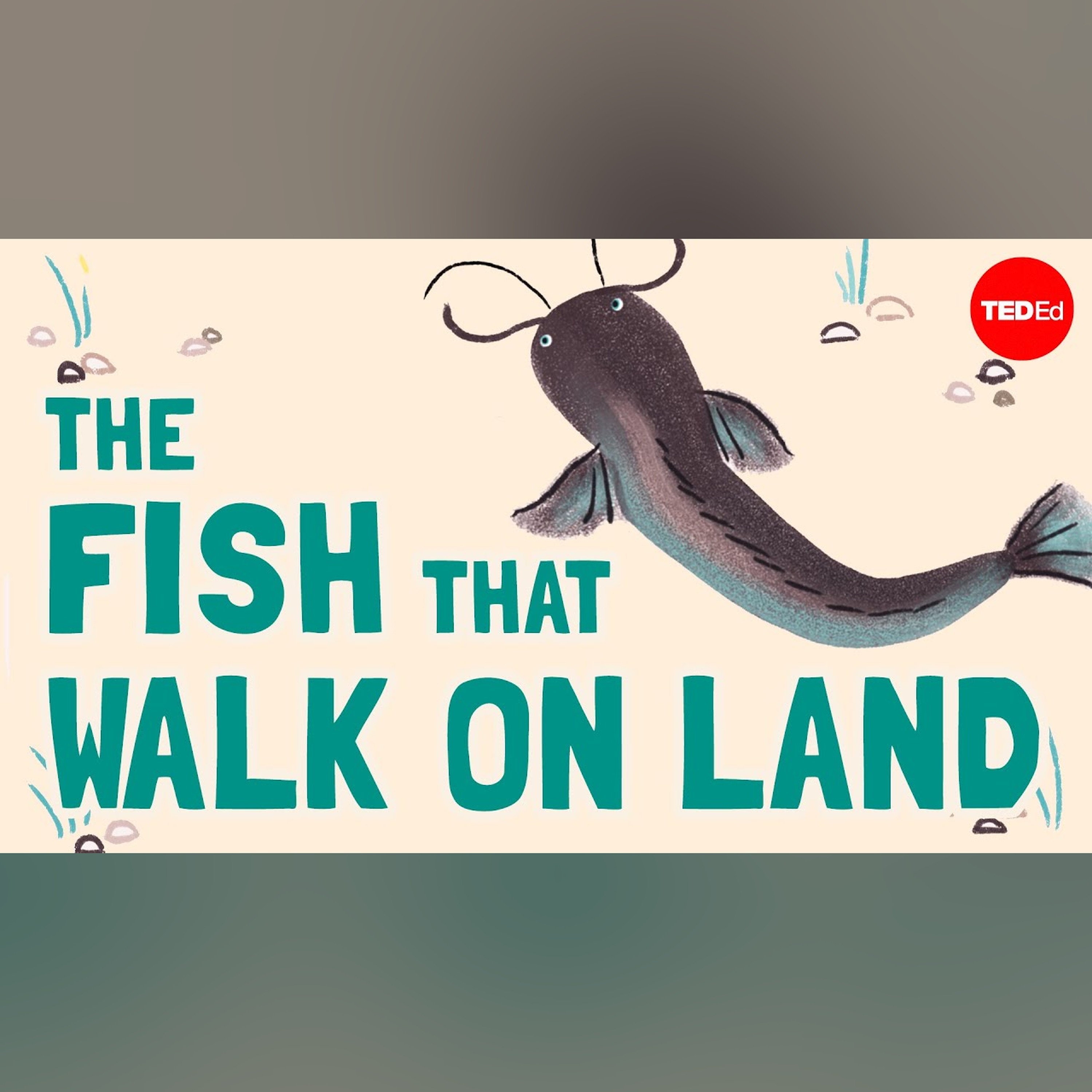 The fish that walk on land - Noah R. Bressman