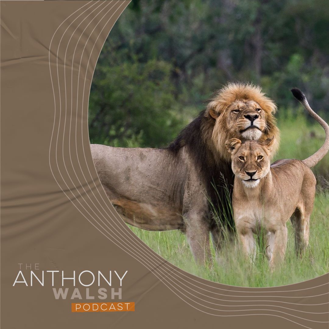 The Art of Tracking Your Life's Purpose