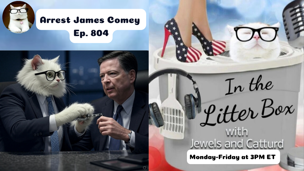 Arrest James Comey | In the Litter Box w/ Jewels & Catturd – Ep. 804 – 5/16/2025