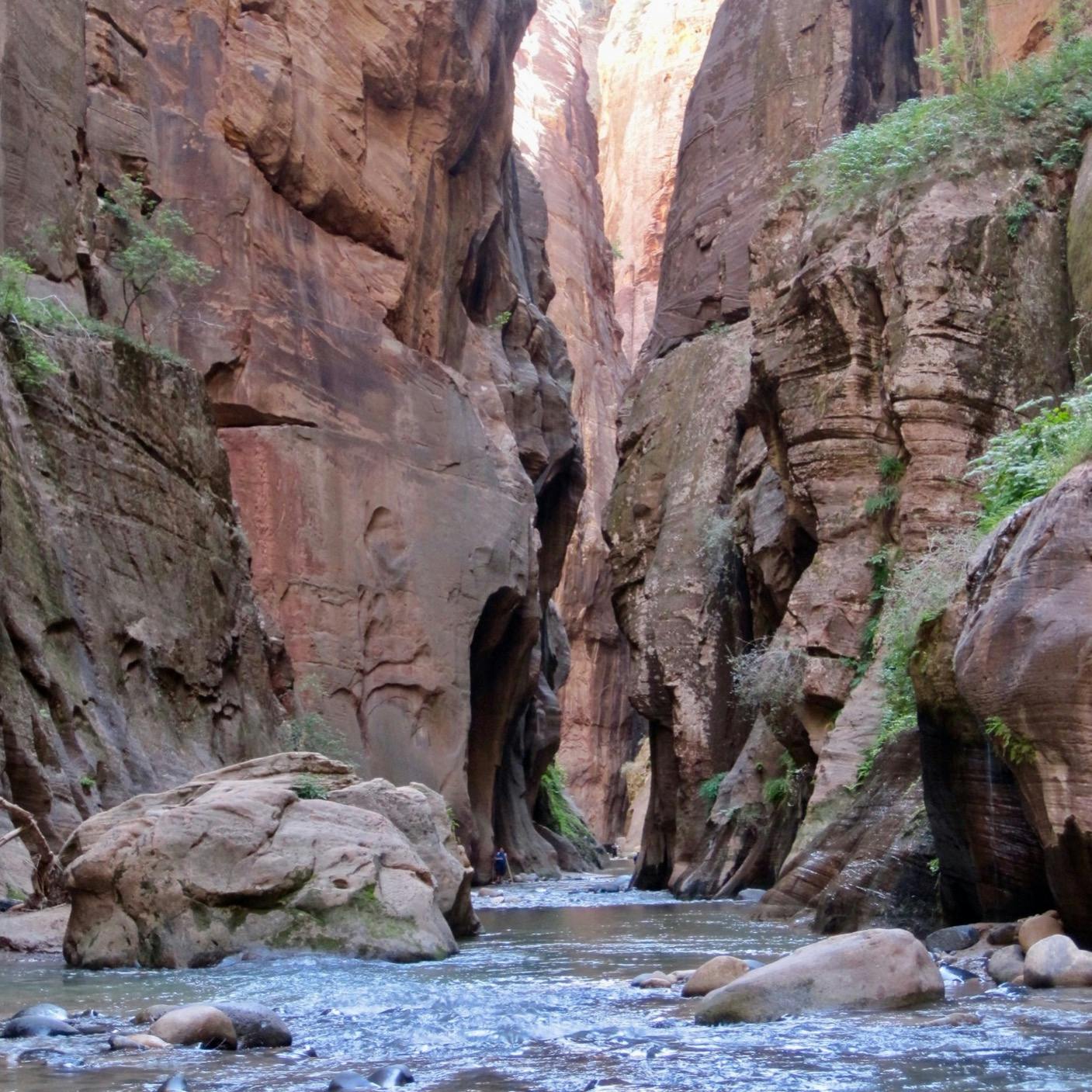 #06: Zion National Park: Hiking The Narrows Image