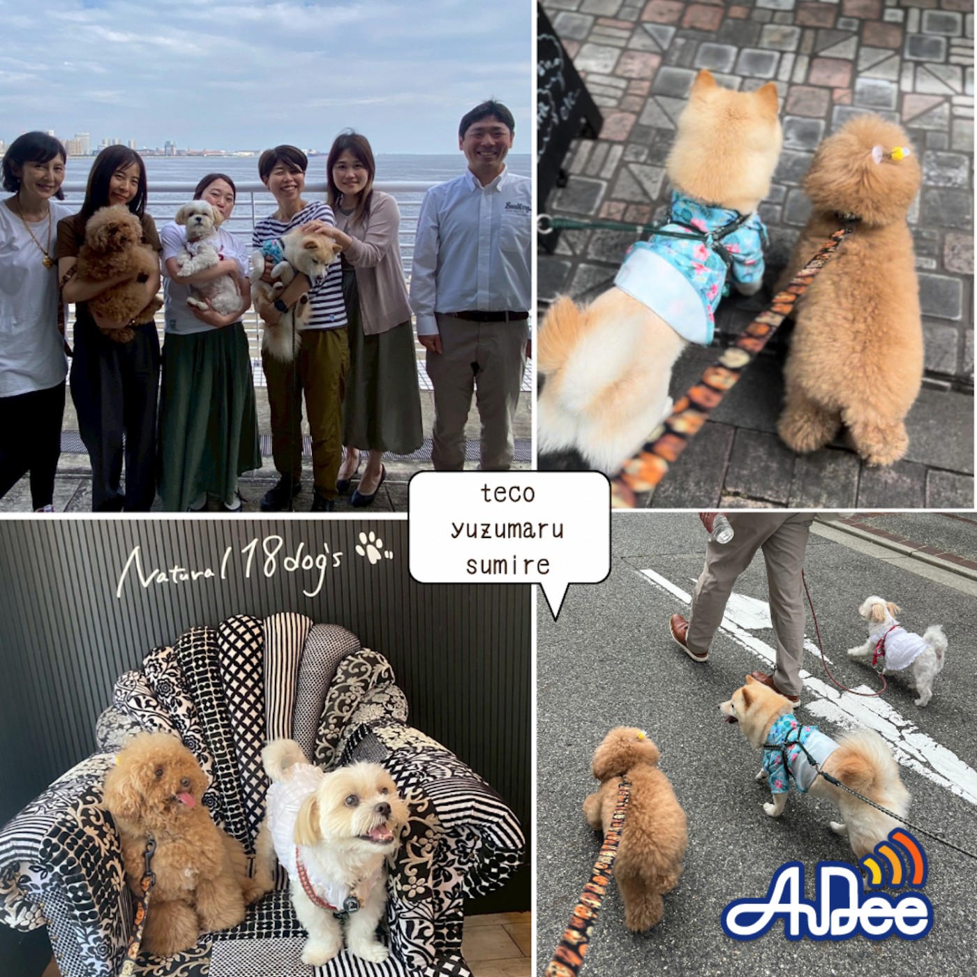 「るるぶ ペットとおでかけ首都圏発’２６」編集部さんおすすめ🌻  / 🐶クイズ「新幹線に乗ってみた」 テコ料金は? episode artwork