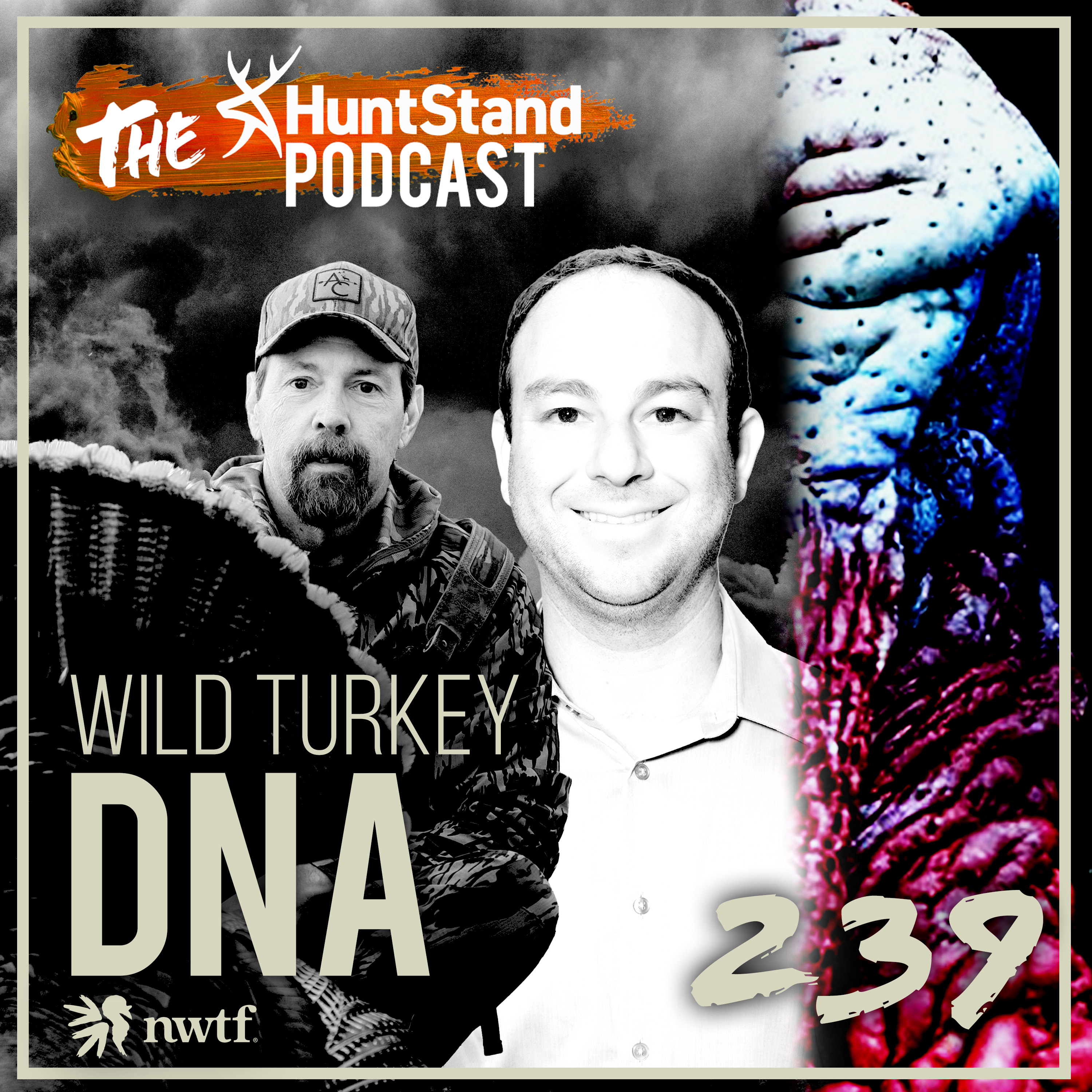 #239 - Wild Turkey DNA Project with Mike Chamberlain and Phil Lavretsky | Turkey Hunting Special
