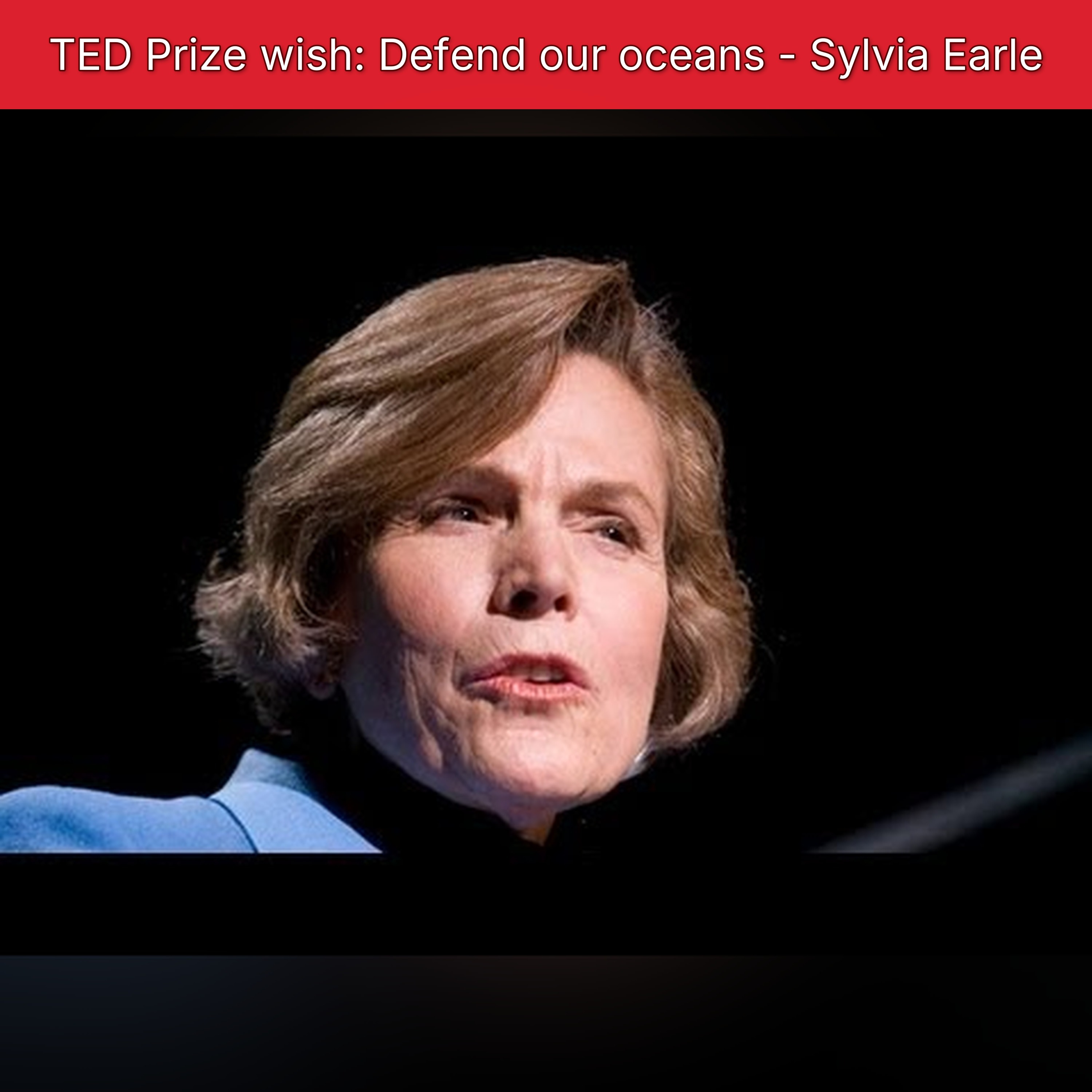 TED Prize wish: Defend our oceans - Sylvia Earle episode artwork