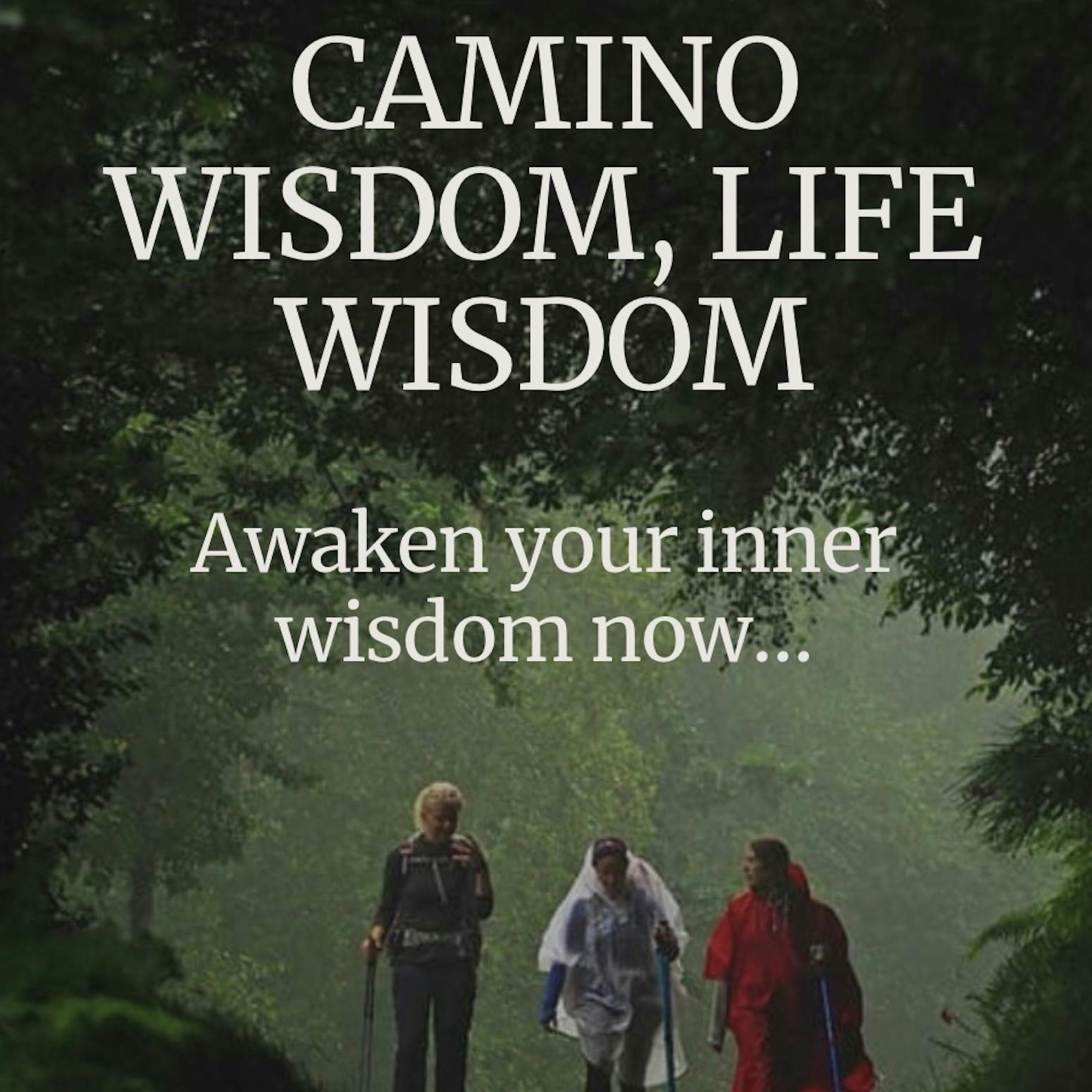 Diving deep on the Camino:  Wisdom of the Way
