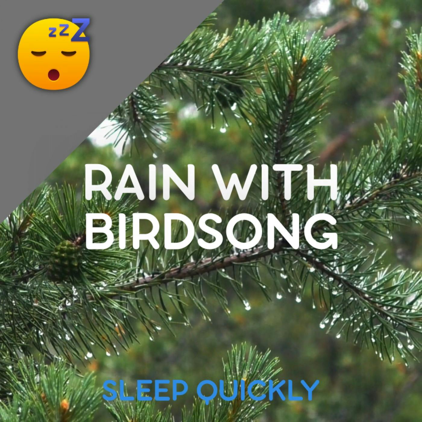 😴🌧️ RAIN with Birdsong in the FOREST episode artwork
