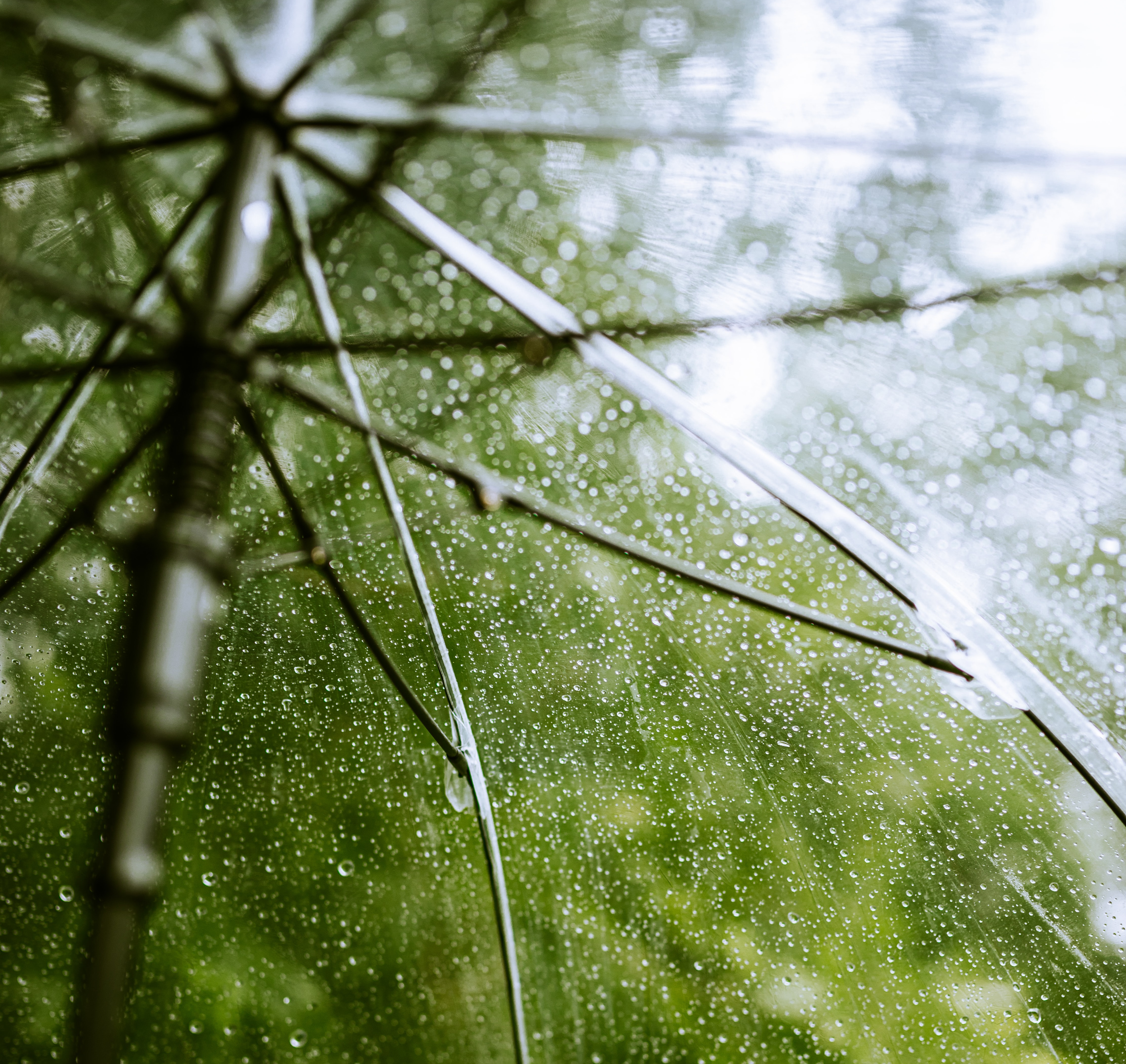 Light Rain On Umbrella: 3-Hour Calming Rain Sounds for Blissful Sleepiness