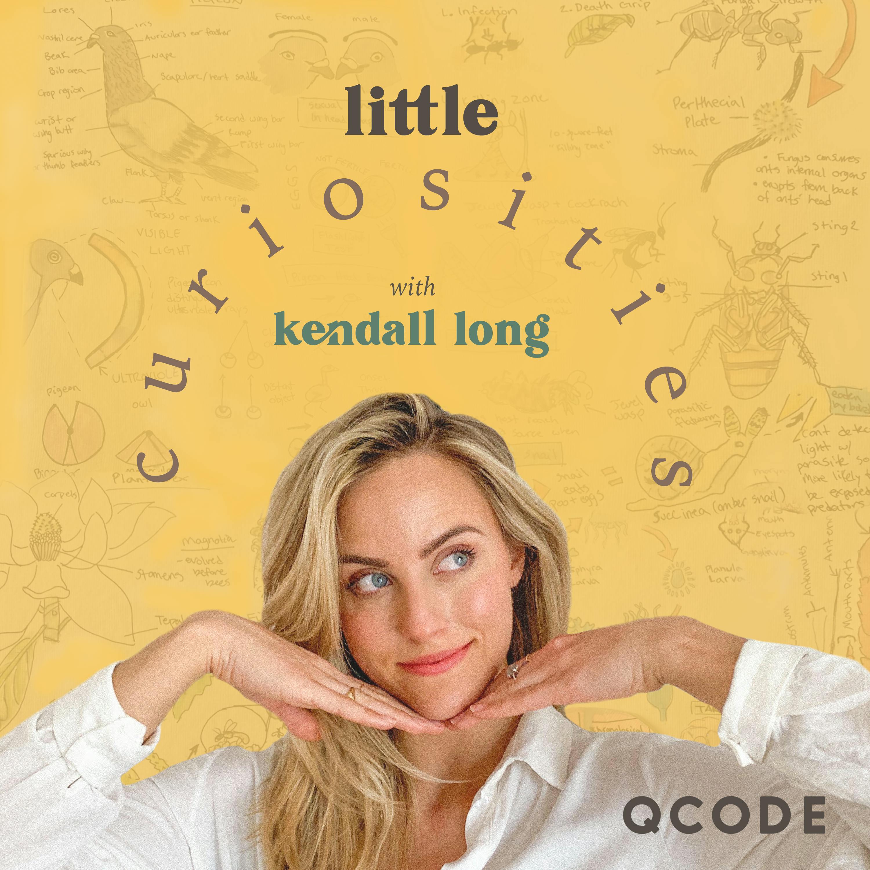 Little Curiosities With Kendall Long podcast show image