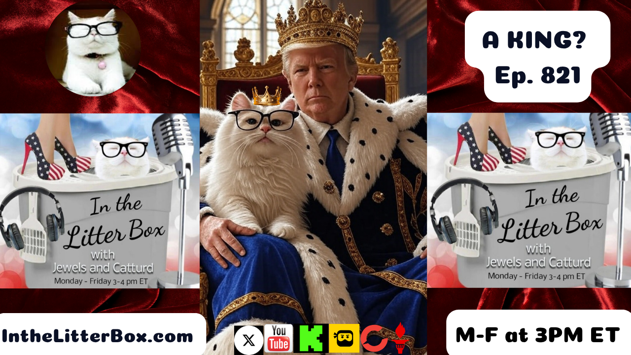 A KING? | In the Litter Box w/ Jewels & Catturd – Ep. 821 – 6/13/2025