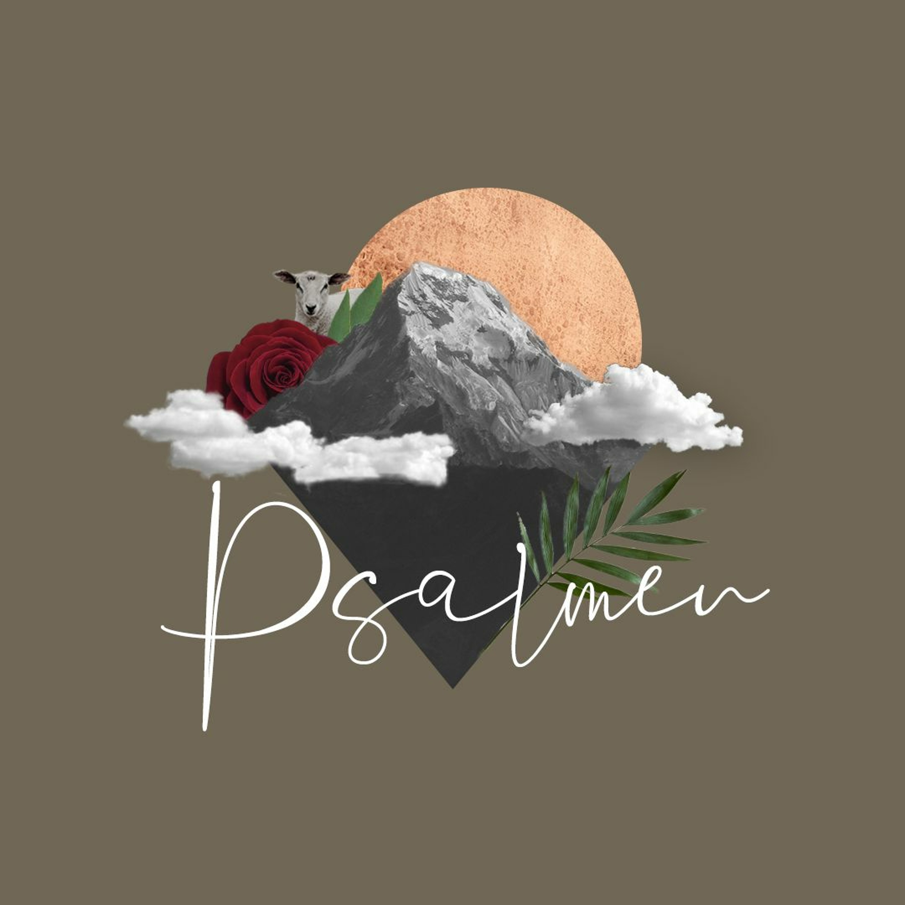 [2019-07-07] Psalmen - Der Lobpreis in den Psalmen (Stefan Hänsch) episode artwork