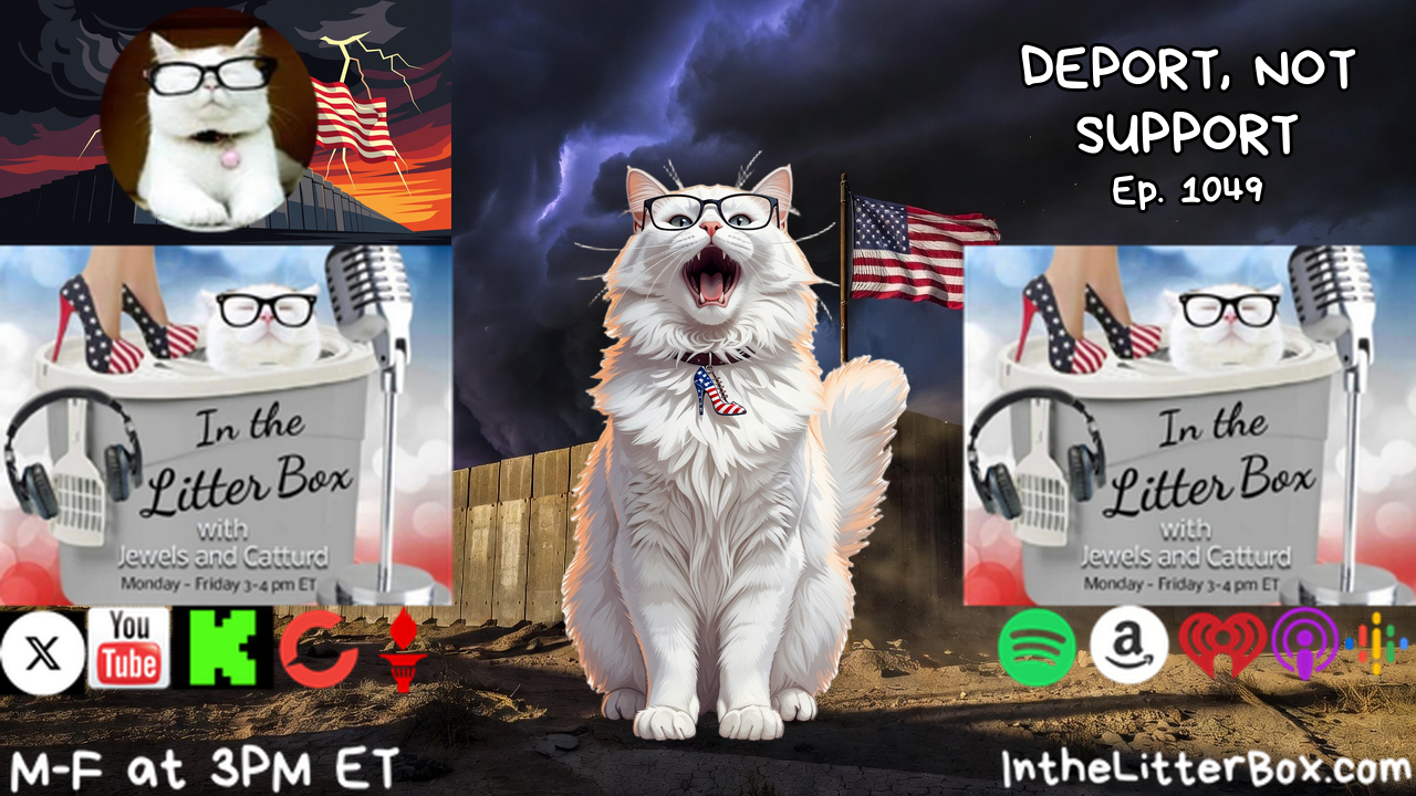 DEPORT, NOT SUPPORT | In the Litter Box w/ Jewels & Catturd – Ep. 1049 – 6/26/2026