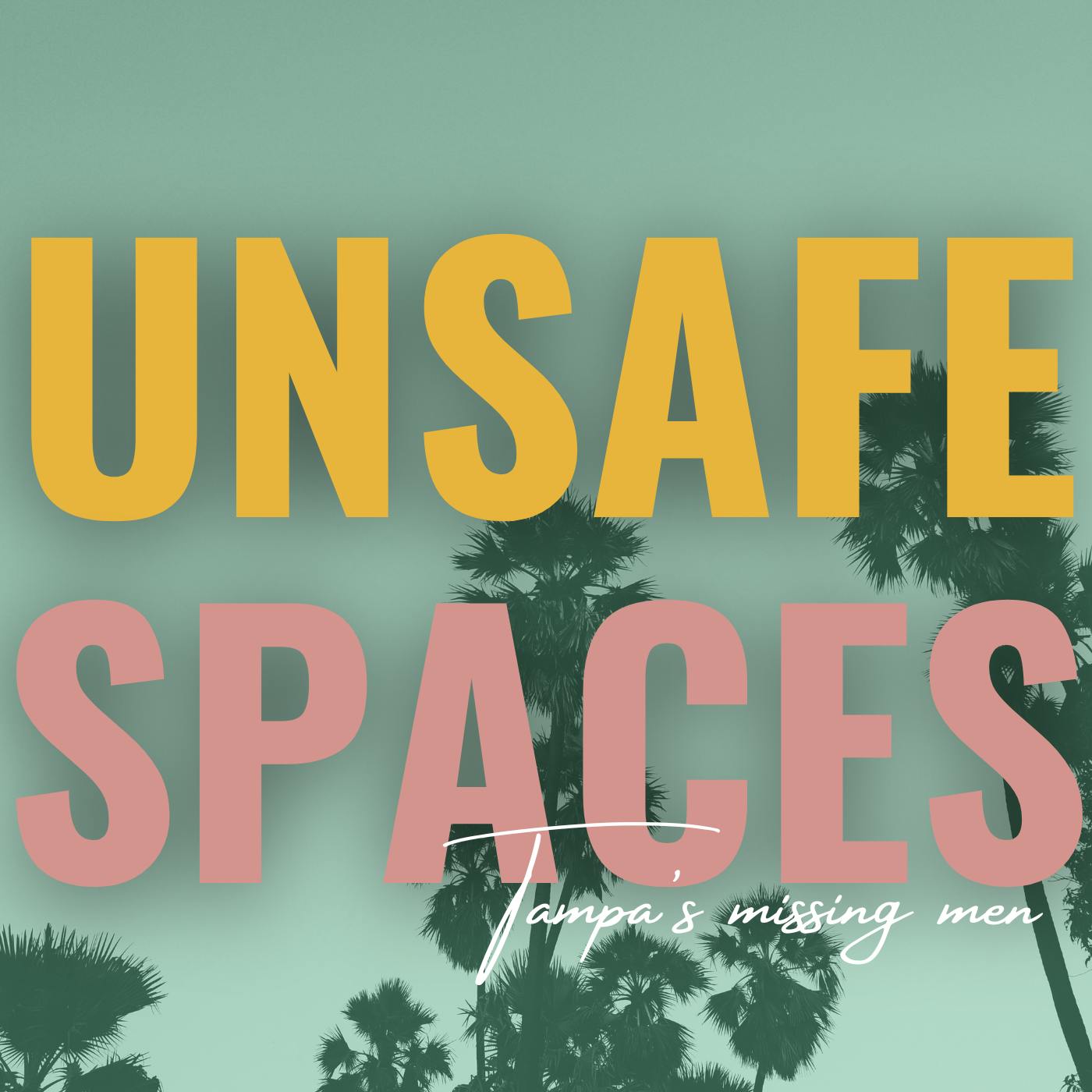 Introducing Unsafe Spaces: Tampa’s Missing Men