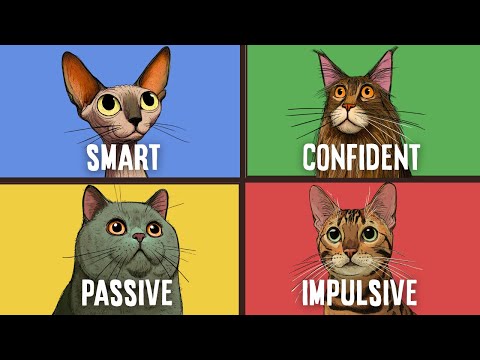 What Your Cat's Breed Says About You (Psychology Explained)