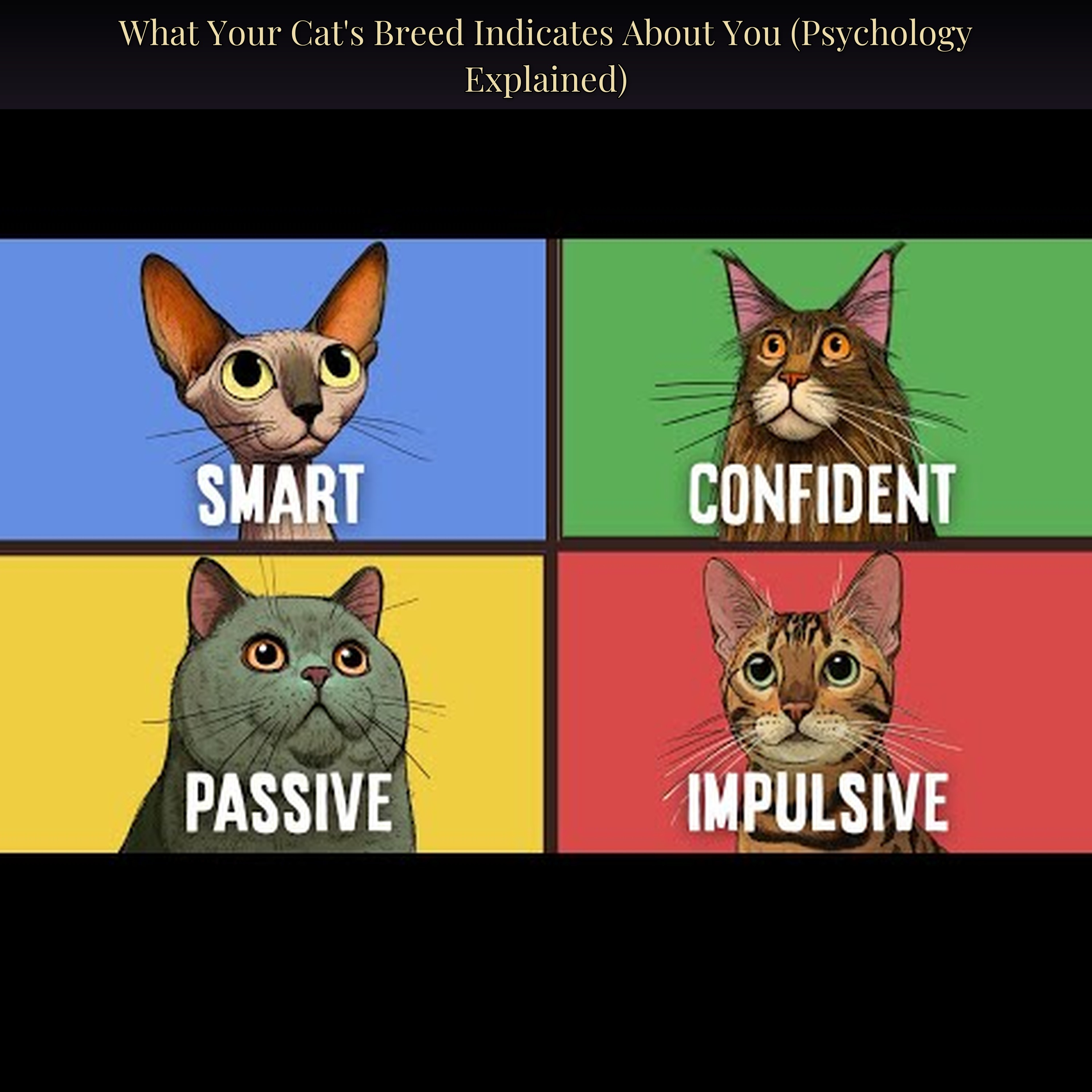 What Your Cat's Breed Indicates About You (Psychology Explained)