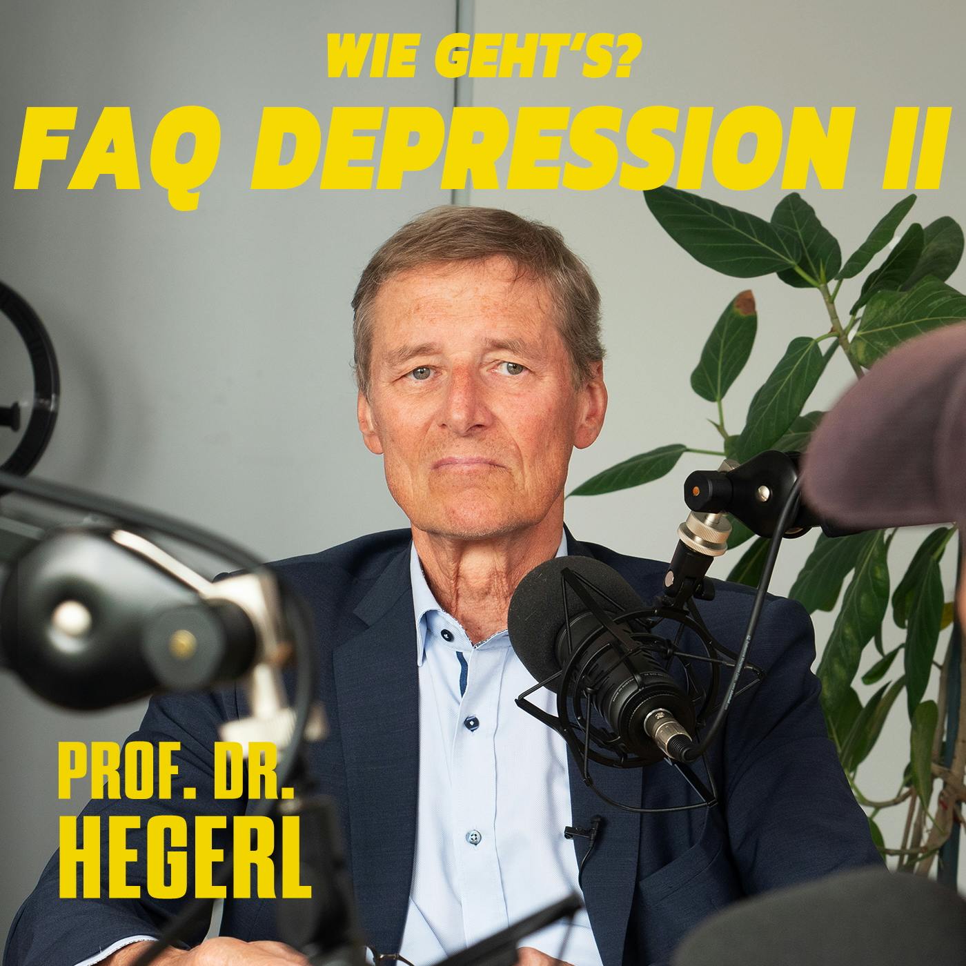 FAQ Depression mit Prof. Dr. Hegerl - Sonderfolge 2 FAQ Depression mit Prof. Dr. Hegerl - Sonderfolge 2