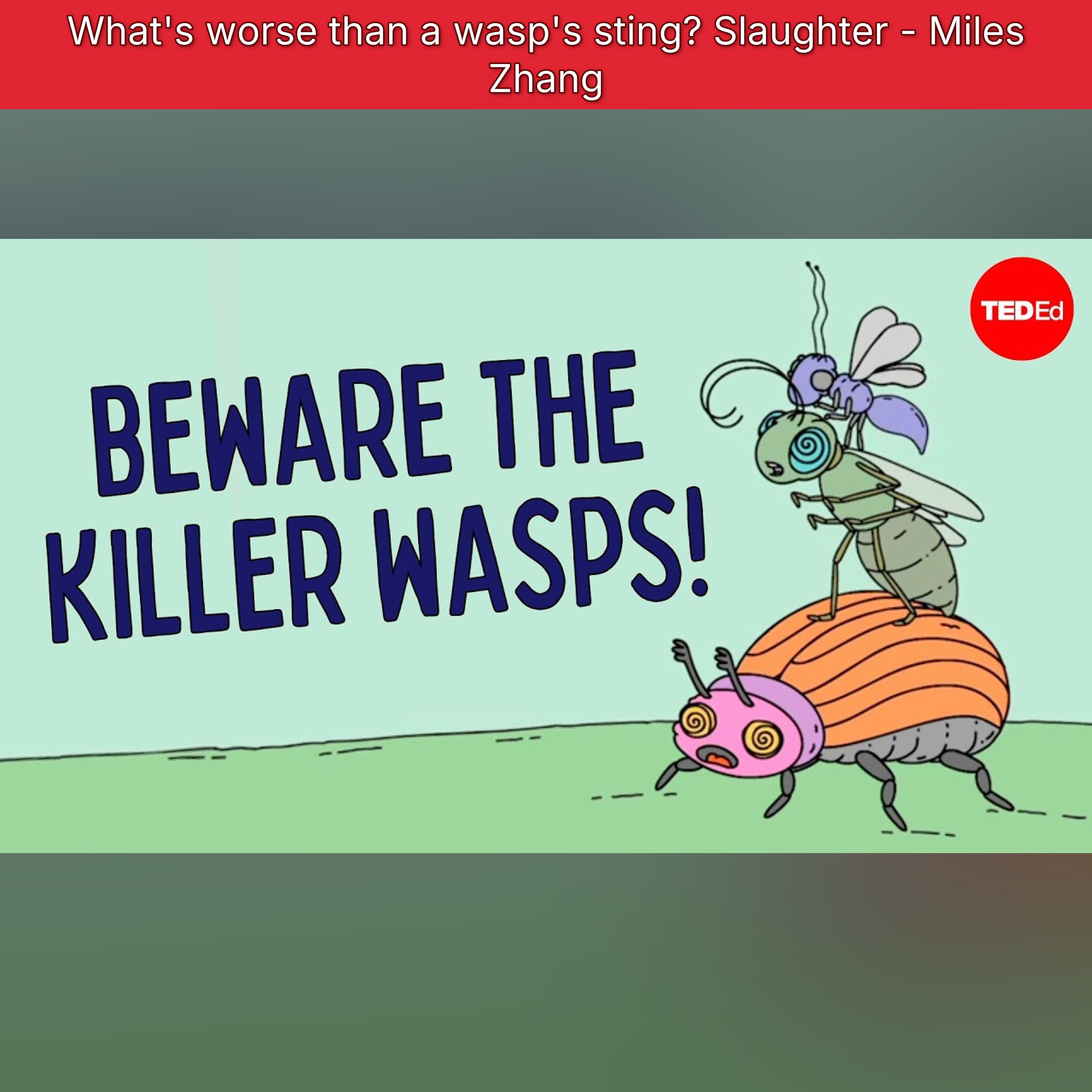 What's worse than a wasp's sting? Slaughter - Miles Zhang
