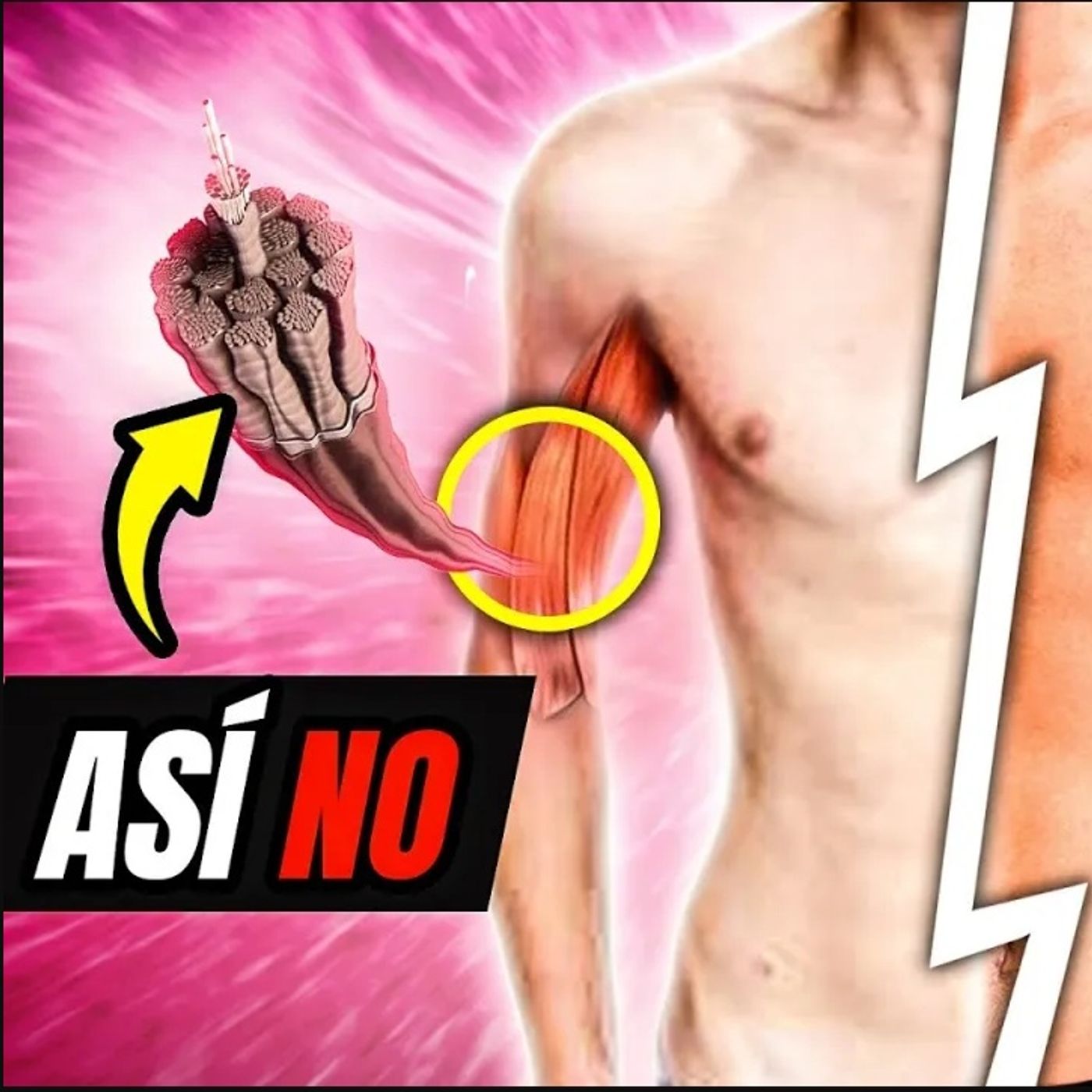 Más FUERZA y Menos LESIONES💪OPTIMIZA ASÍ tu RECUPERACION MUSCULAR: Guía Definitiva episode artwork