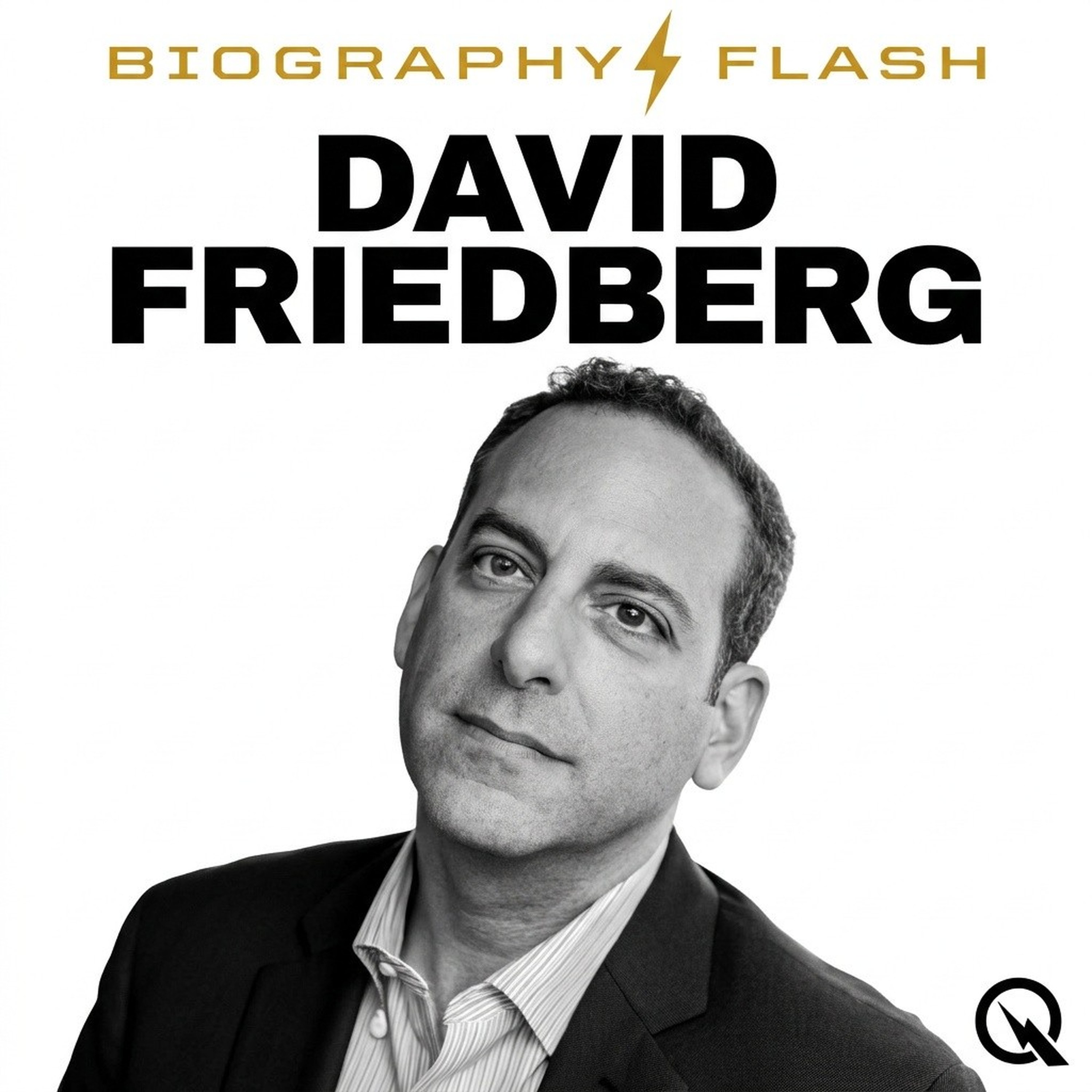 David Friedberg - Biography Flash