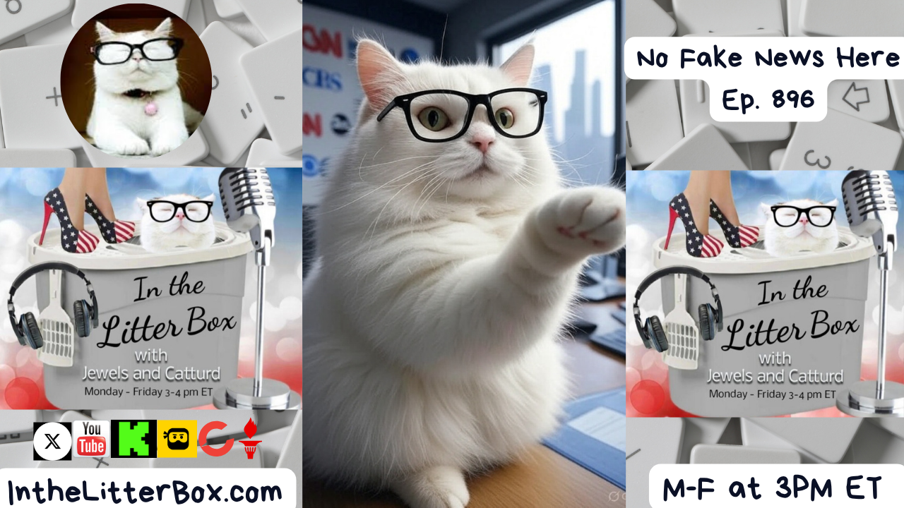 No Fake News Here | In the Litter Box w/ Jewels & Catturd – Ep. 896 – 10/6/2025