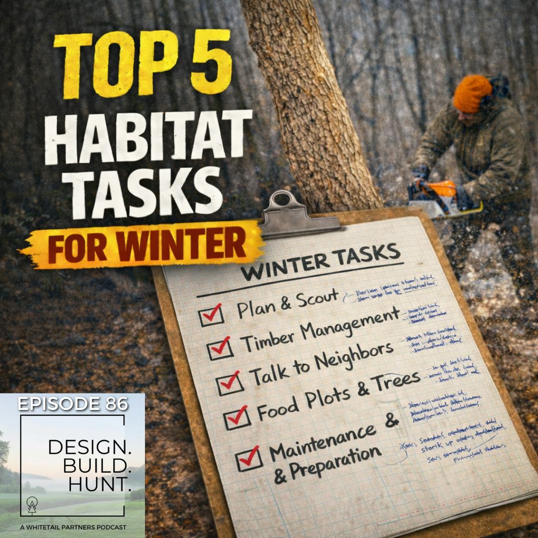 86. The Habitat To-Do List: What Whitetail Properties Need Right Now (Jan–March) 86. The Habitat To-Do List: What Whitetail Properties Need Right Now (Jan–March)