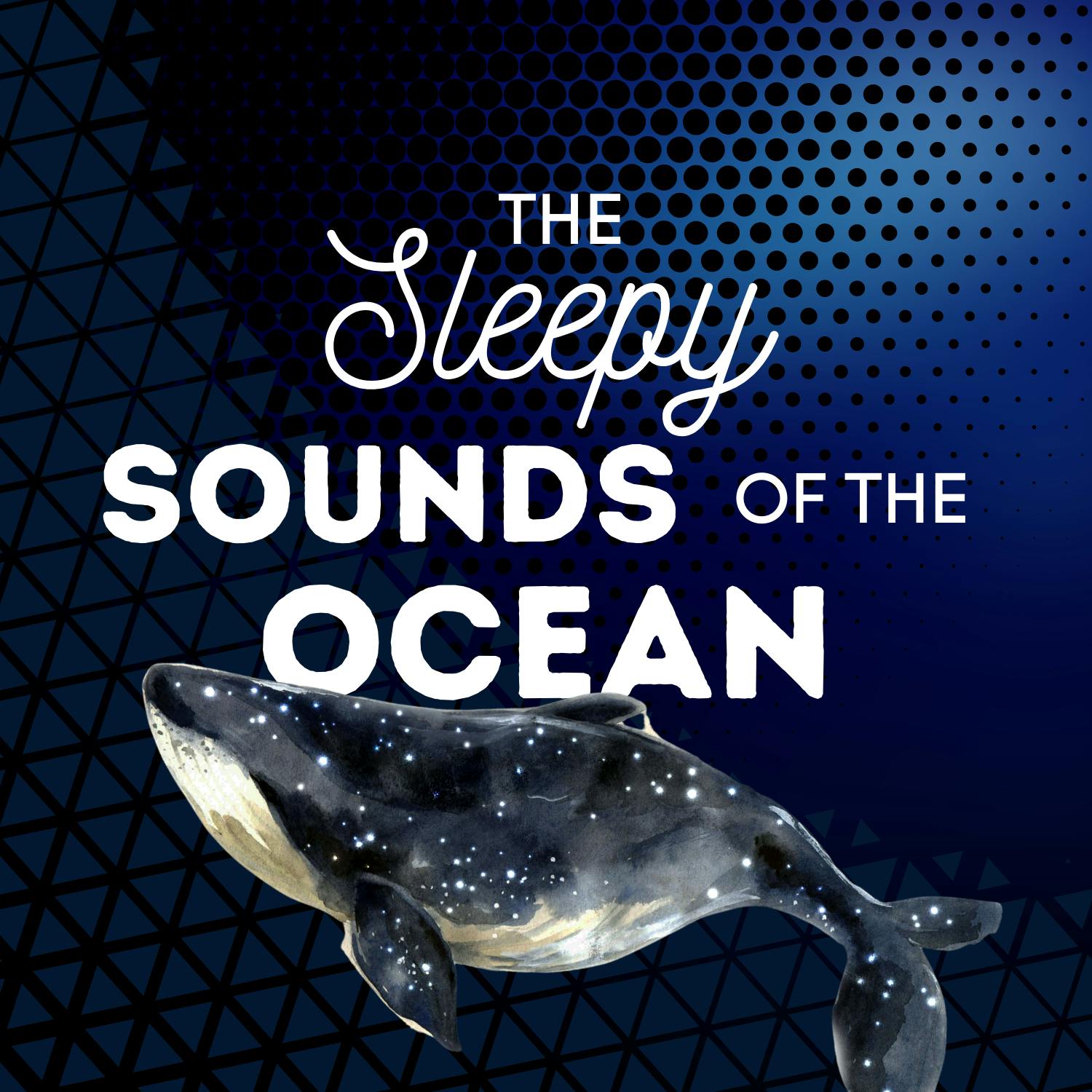 The Sleepy Sounds of the Ocean