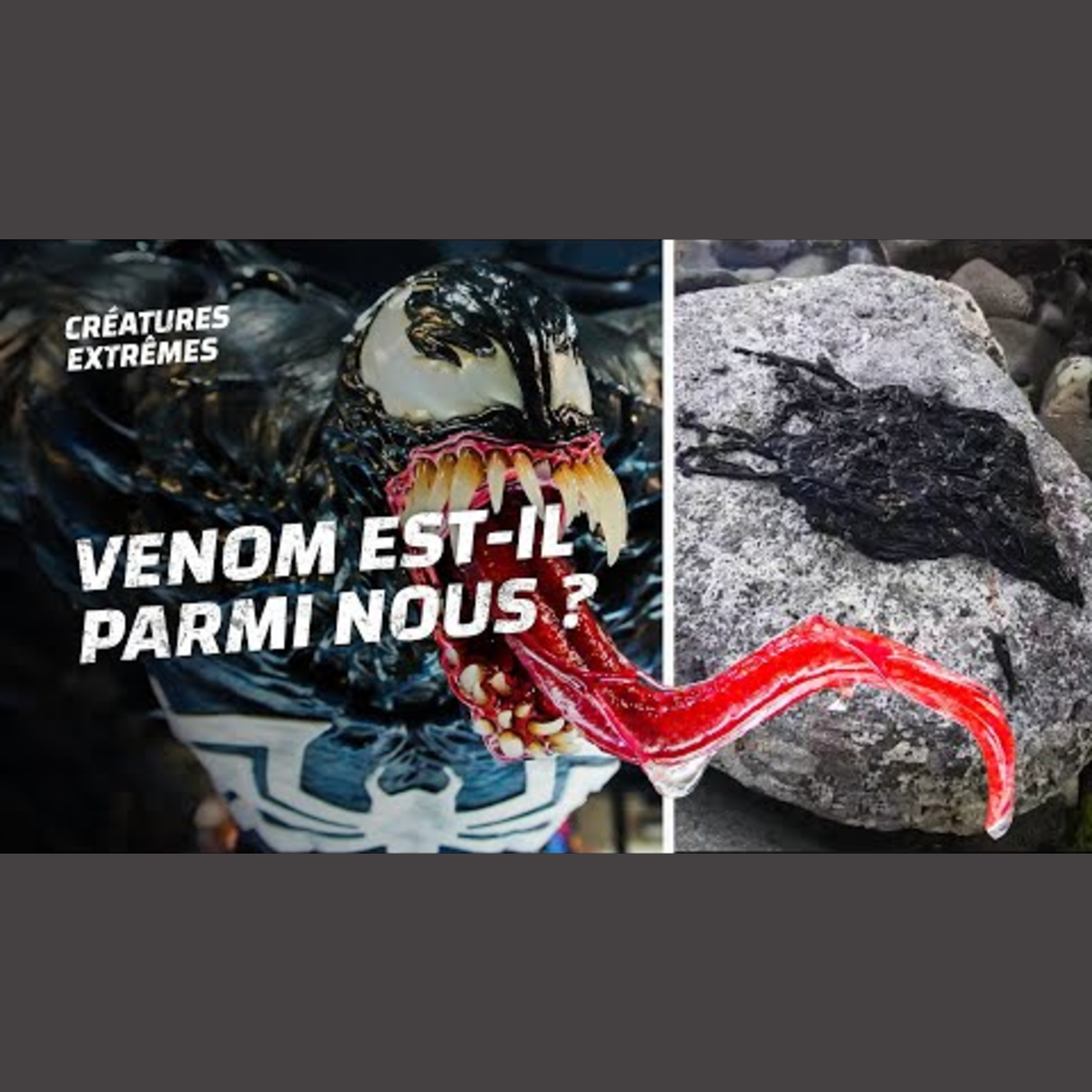 Et si Venom existait vraiment ?