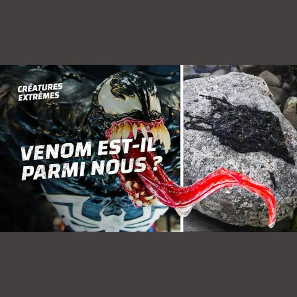 Et si Venom existait vraiment ? Et si Venom existait vraiment ?