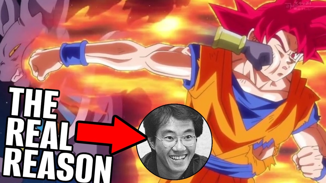 The REAL REASON Dragon Ball Super Beerus Exists episode artwork