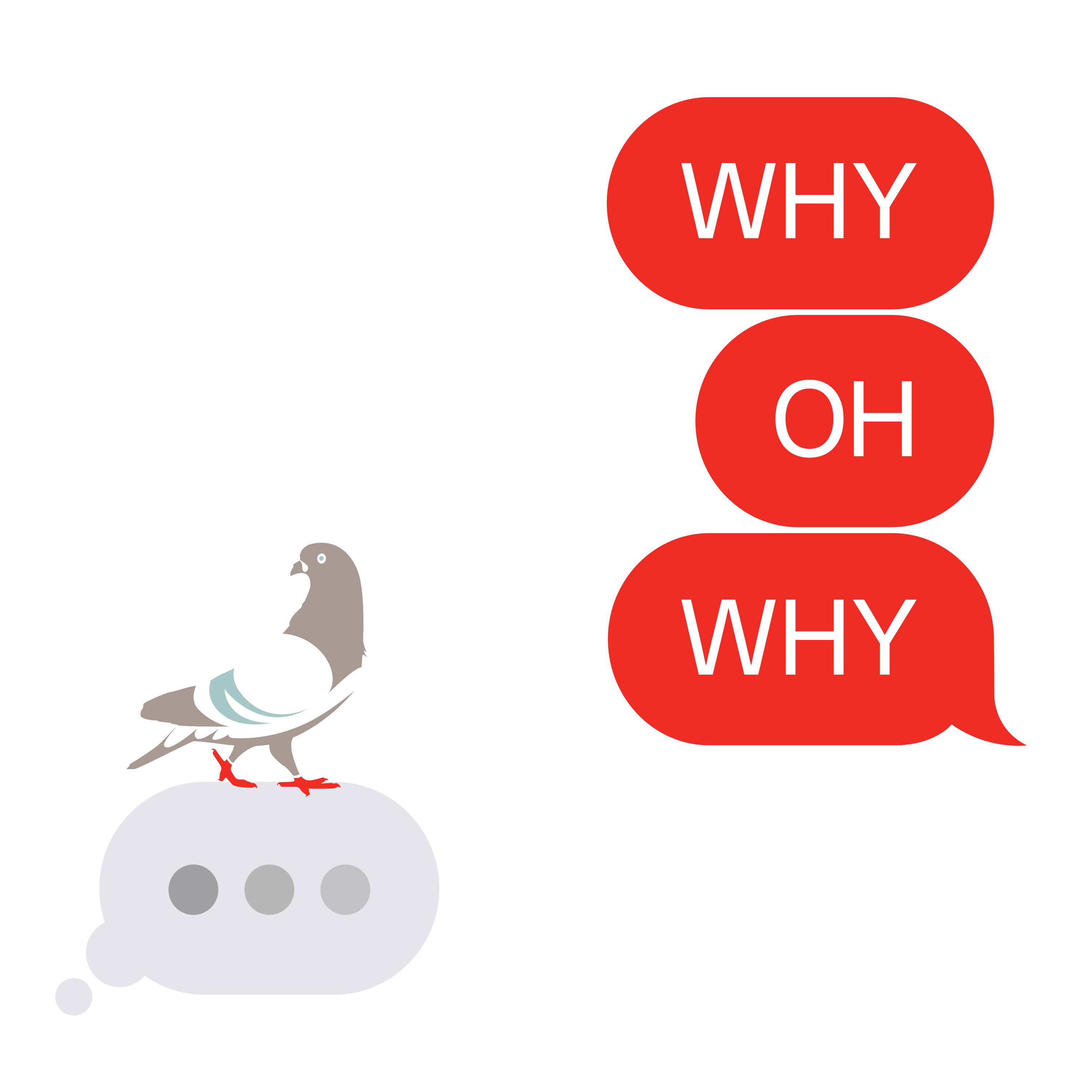 Find Your Single Ladies (Live in Chicago)