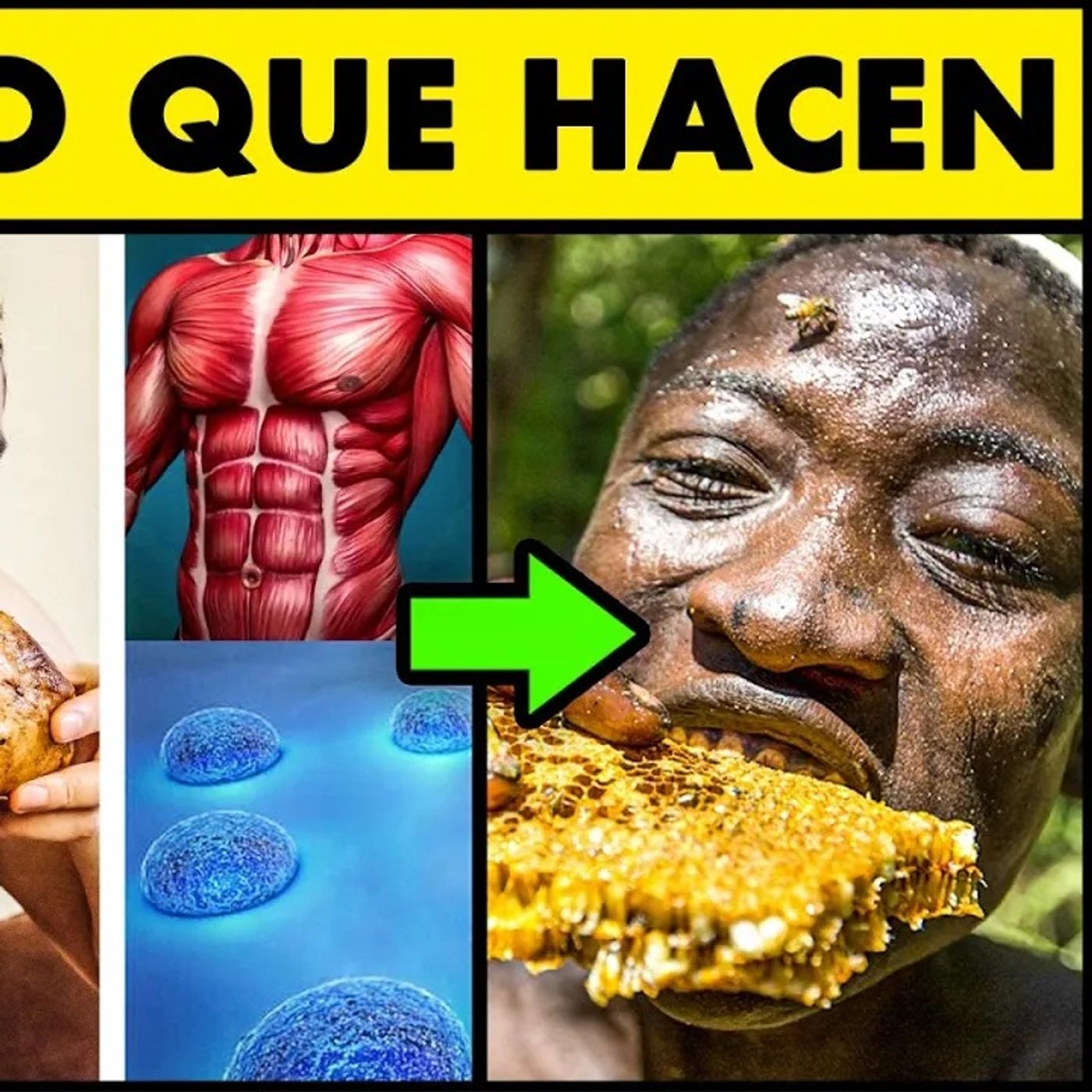 🤫La OCULTA RAZÓN por la que estas Poblaciones NO tienen CÁNCER, INFARTOS o DIABETES episode artwork