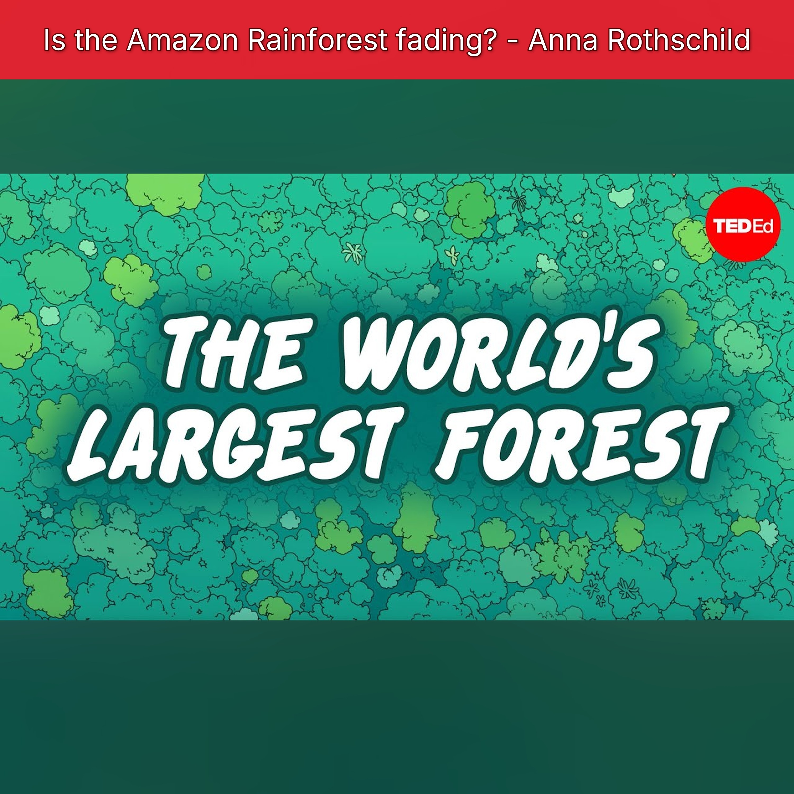 Is the Amazon Rainforest fading? - Anna Rothschild episode artwork
