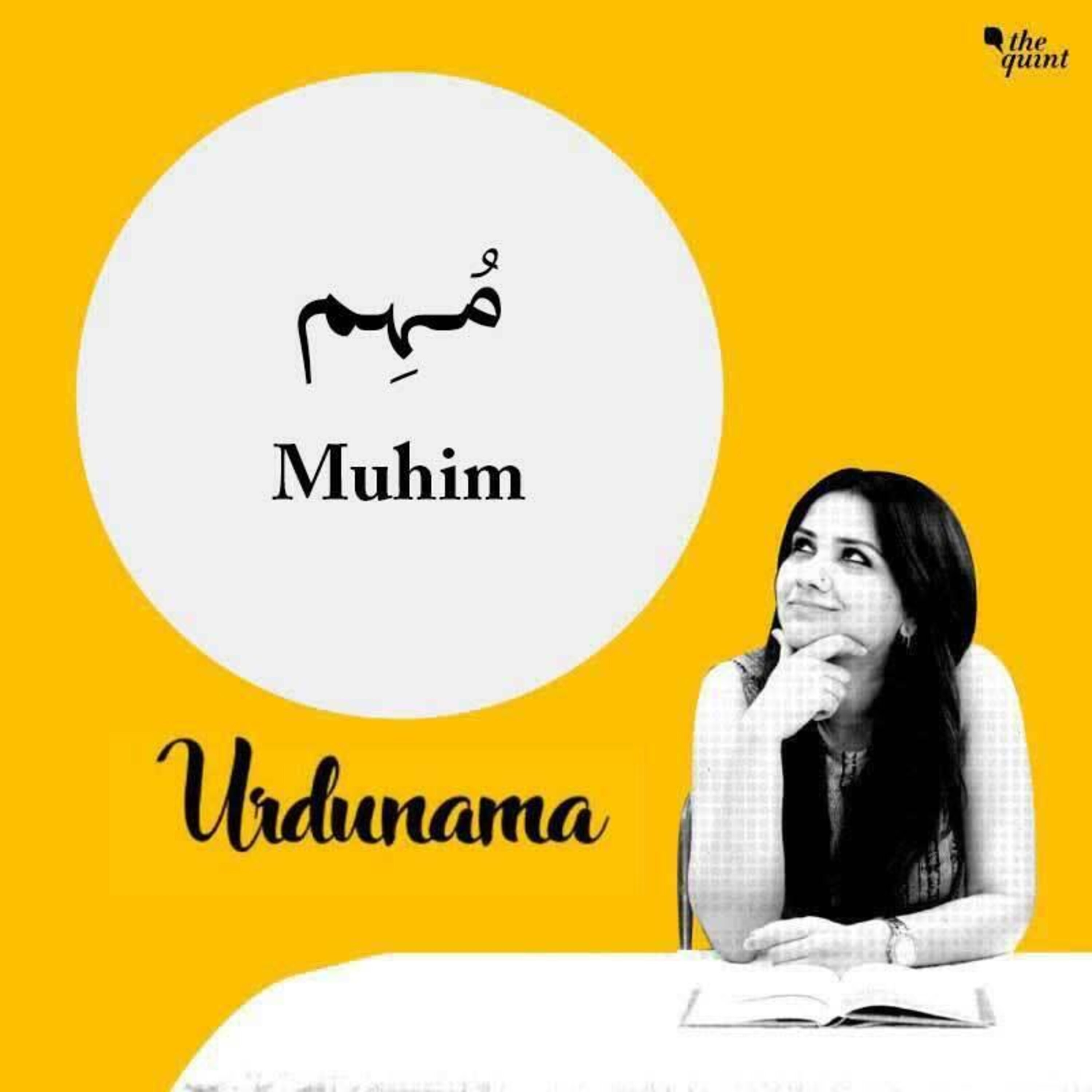 What Is Election Without a 'Muhim' ? Some Gems of Poetry About Campaign episode artwork