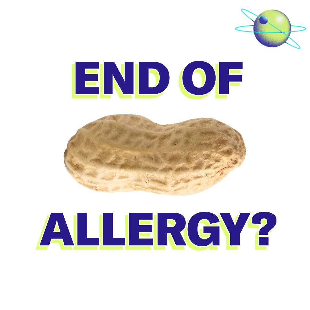 Could Peanut Allergies Be Cured?